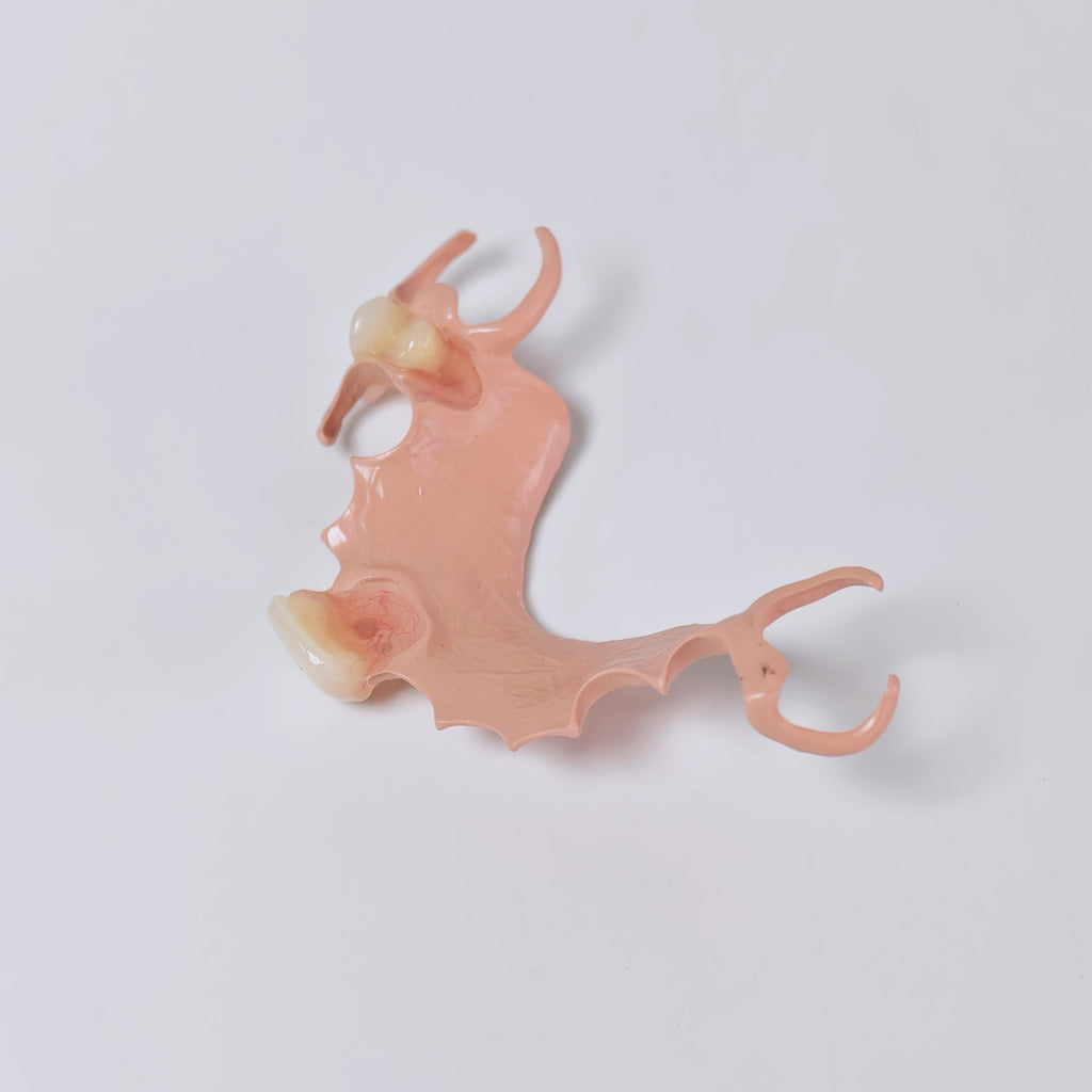 PEEK Framework Denture Metal Framework With Acrylic Denture