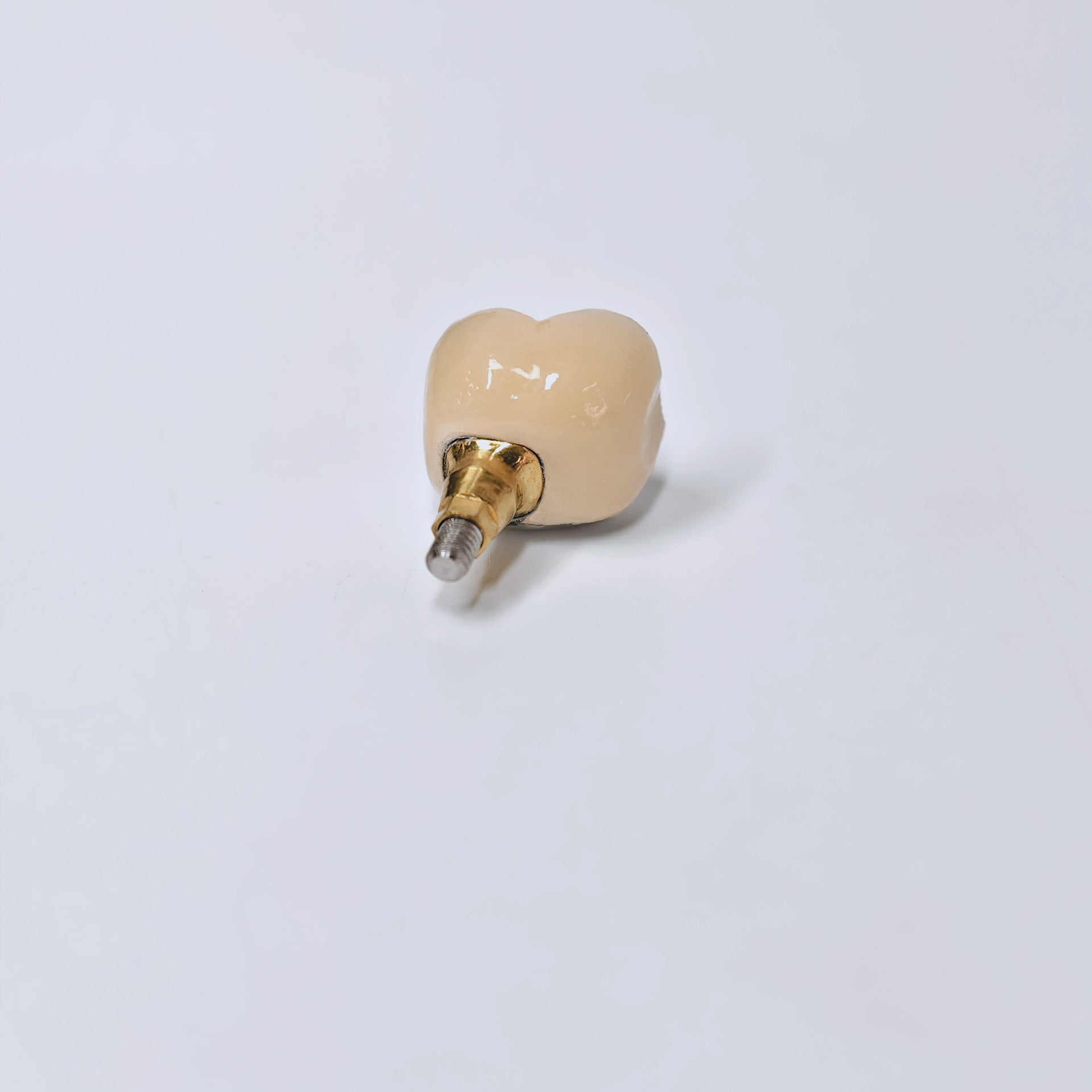 PFM Crown With Screw Retained