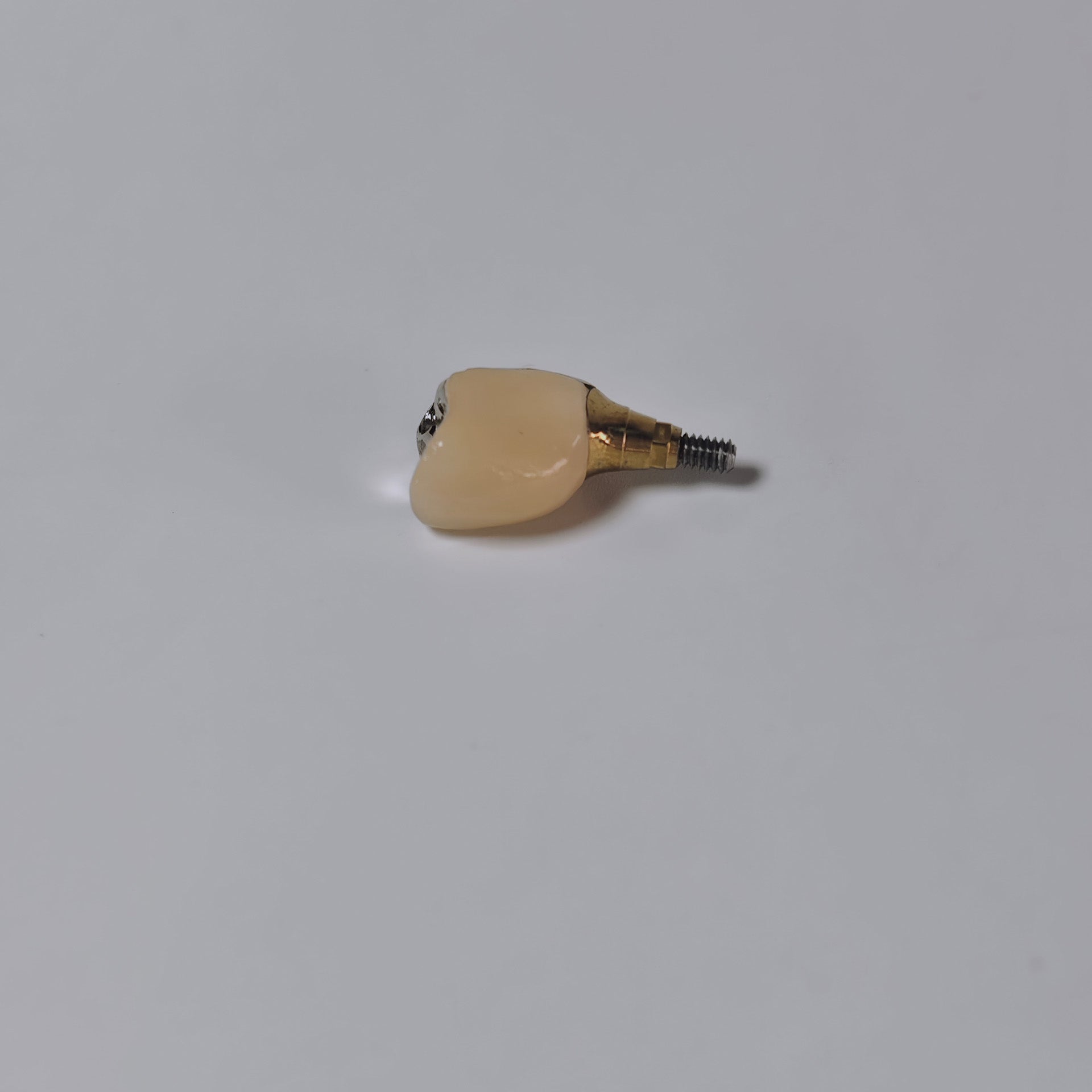 PFM Crown With Screw Retained
