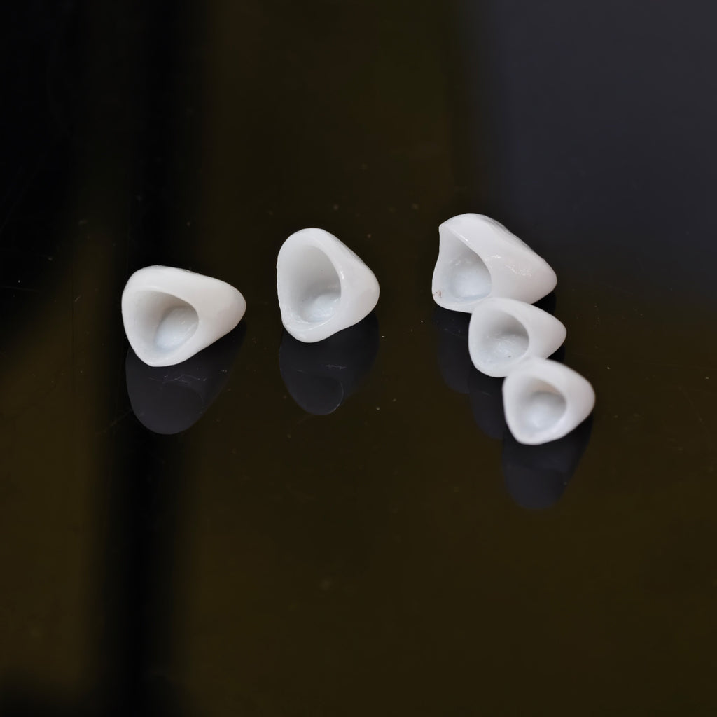 PFZ Porcelain Fused Zirconia Aidite Zirconia