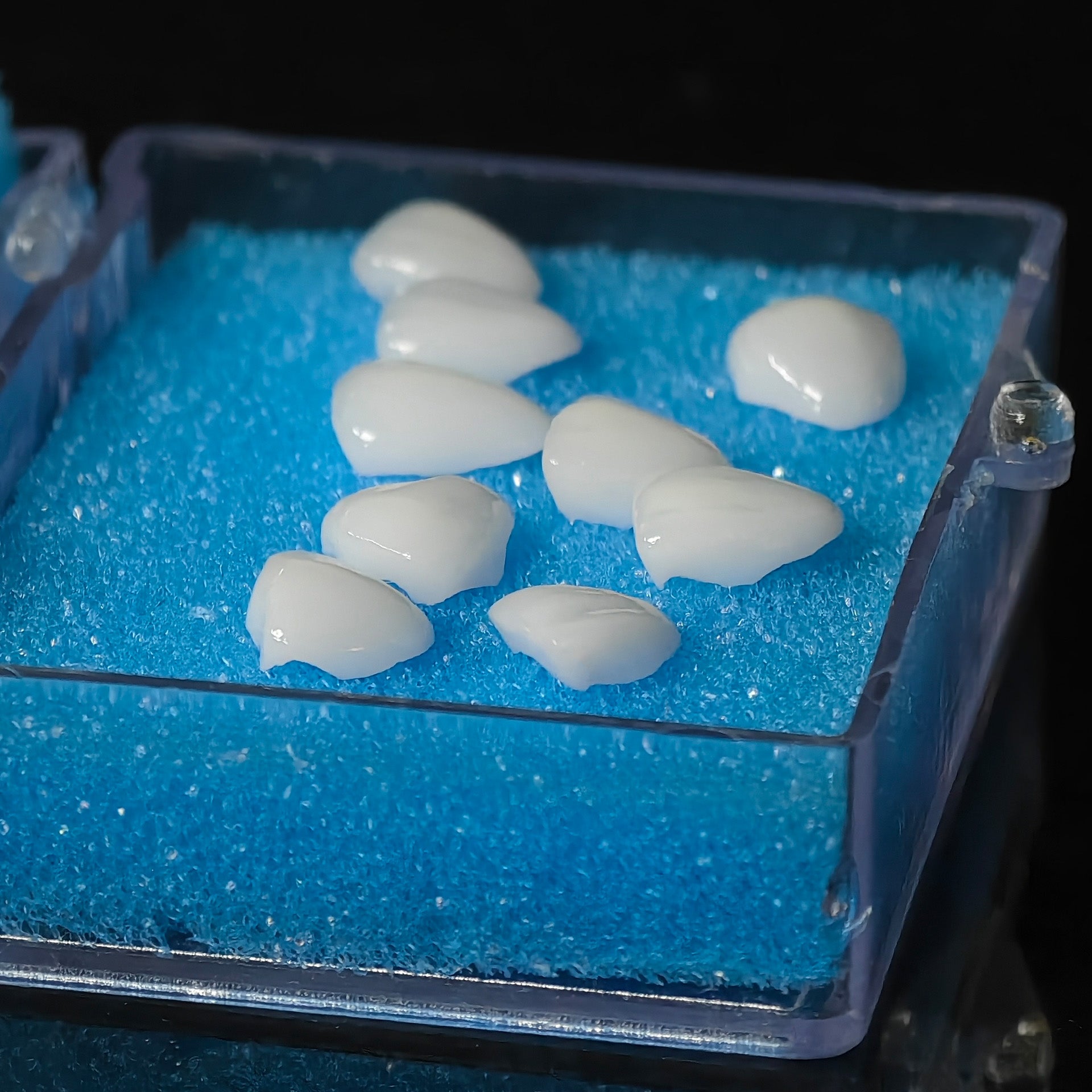 Ultra-Thin Emax Veneer. High Transparency/Translucent, Natural Shade