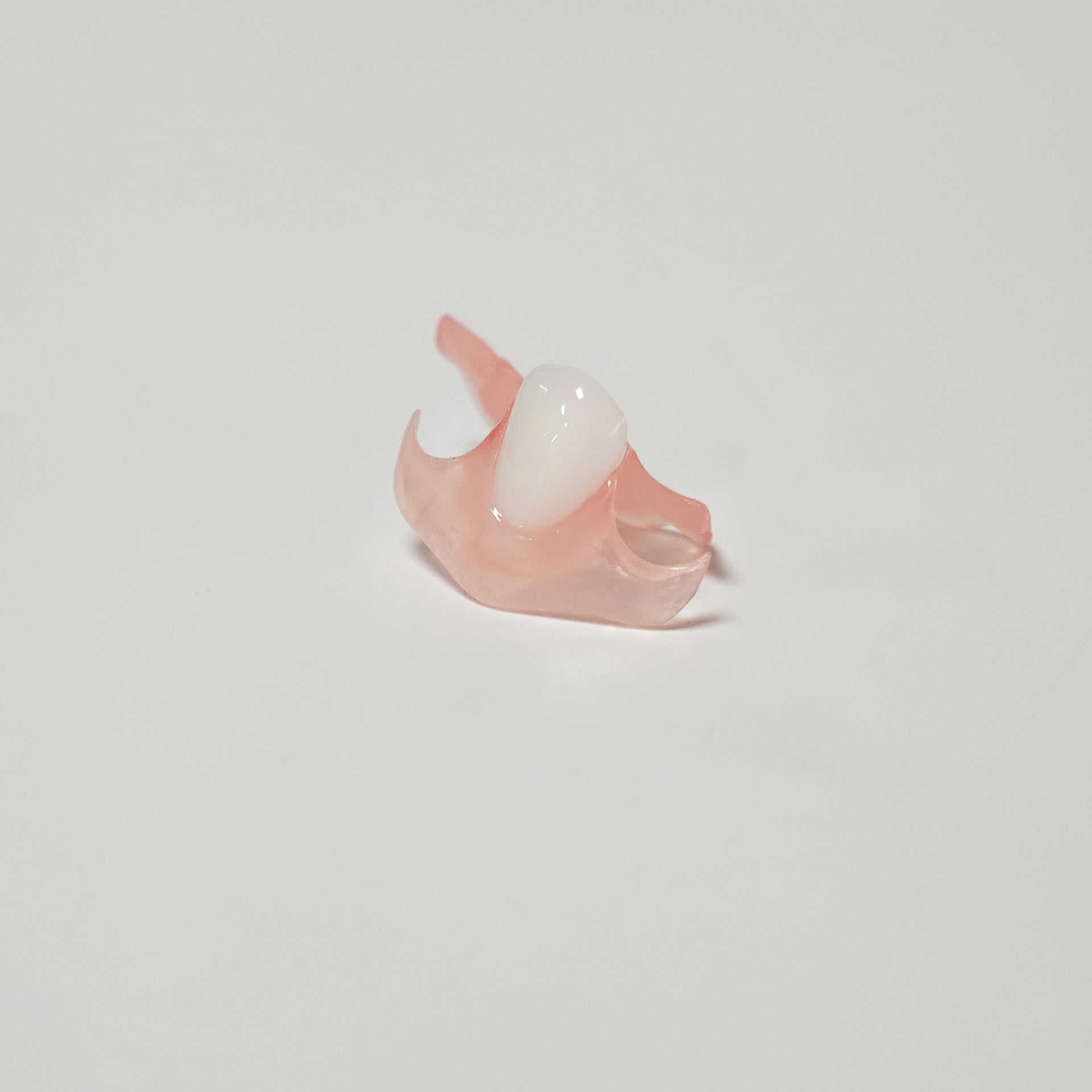 Valplast Denture Beautiful And Elastic Flexible Partial Natural Appearance