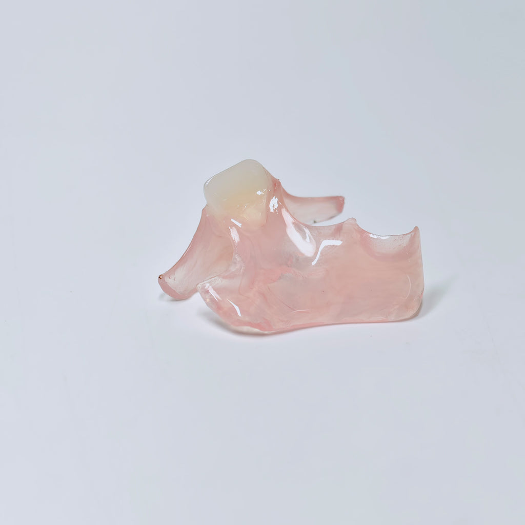 Valplast Denture Beautiful And Elastic Flexible Partial Natural Appearance