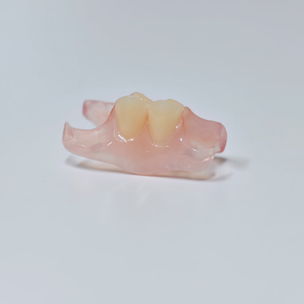 Valplast Denture Beautiful And Elastic Flexible Partial Natural Appearance