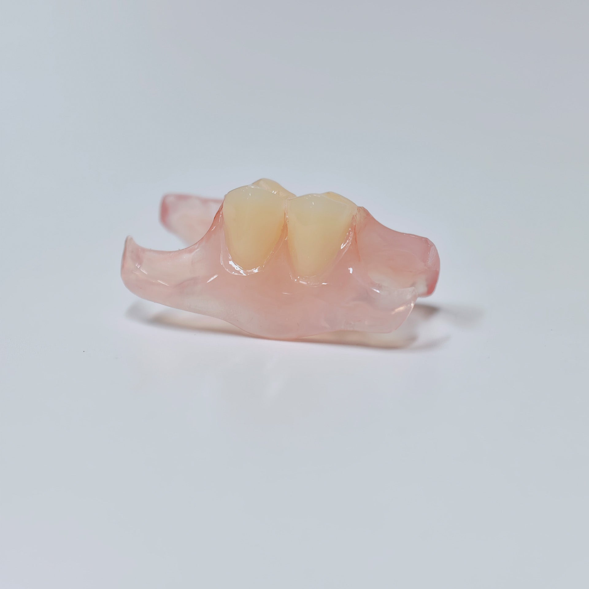 Valplast Denture Beautiful And Elastic Flexible Partial Natural Appearance