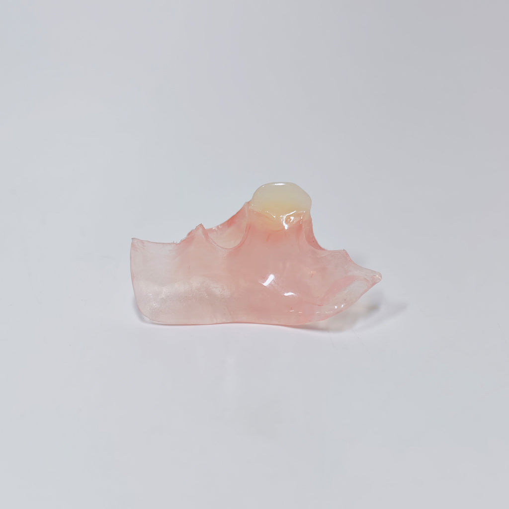 Valplast Denture Beautiful And Elastic Flexible Partial Natural Appearance