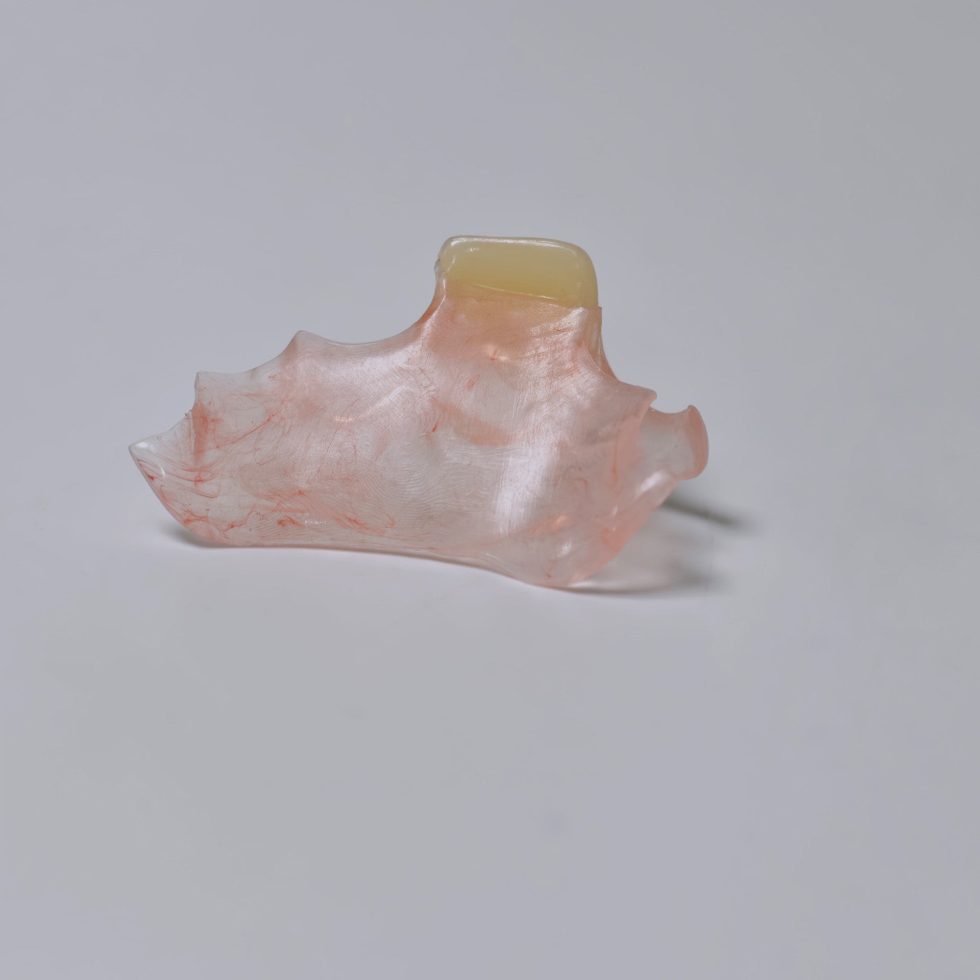 Valplast Denture Beautiful And Elastic Flexible Partial Natural Appearance