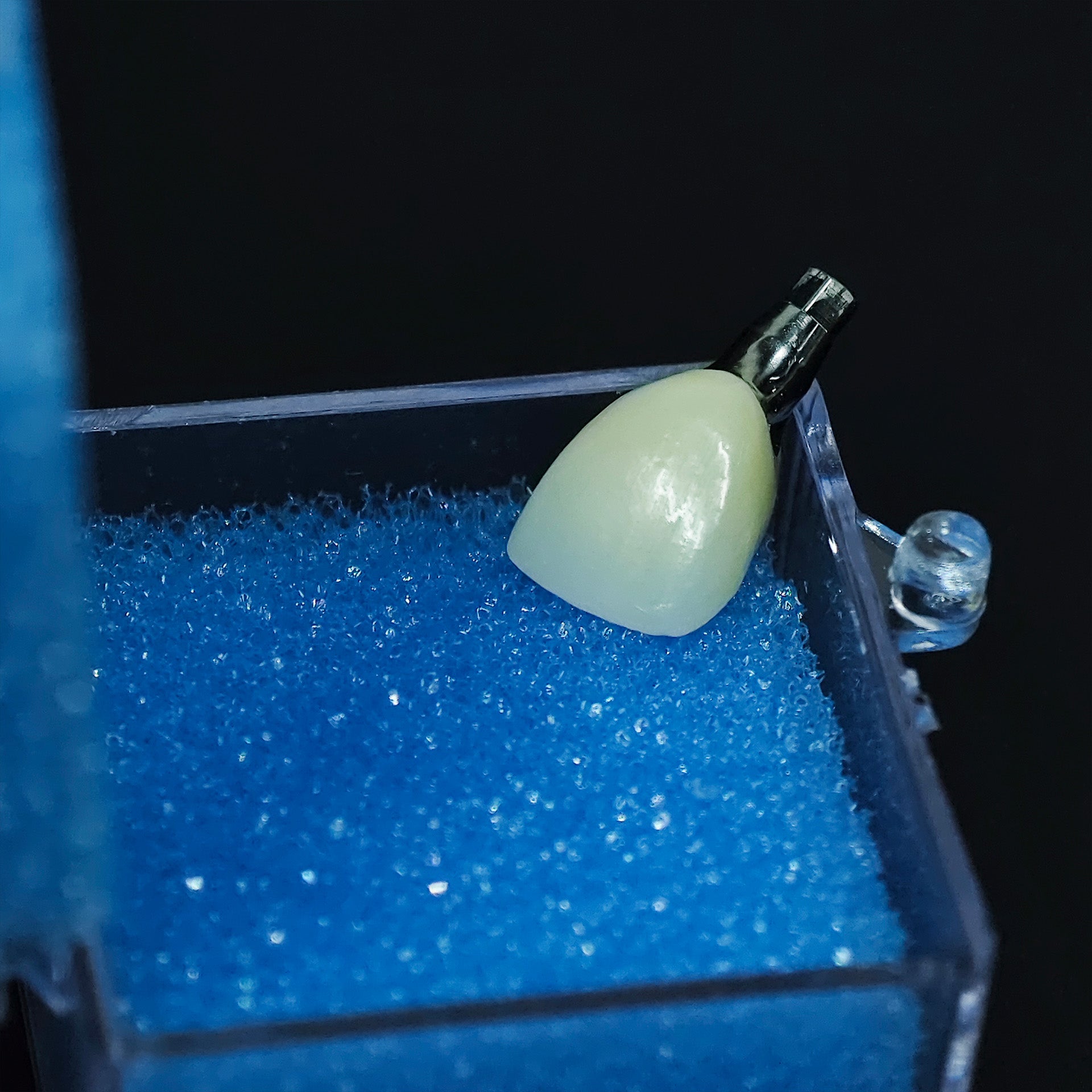 Zirconia Crown With Screw Retained