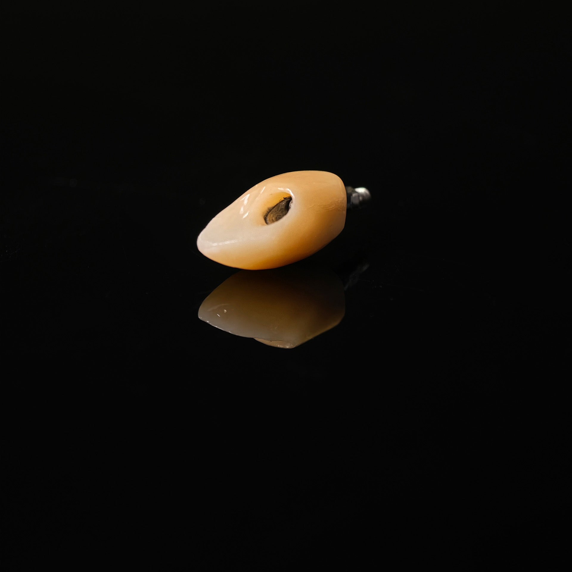 Zirconia Crown With Screw Retained