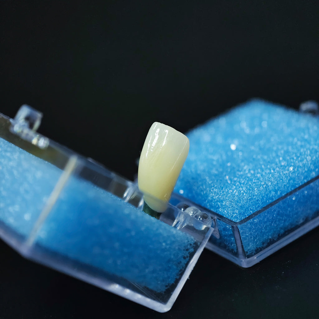 Zirconia Crown With Screw Retained