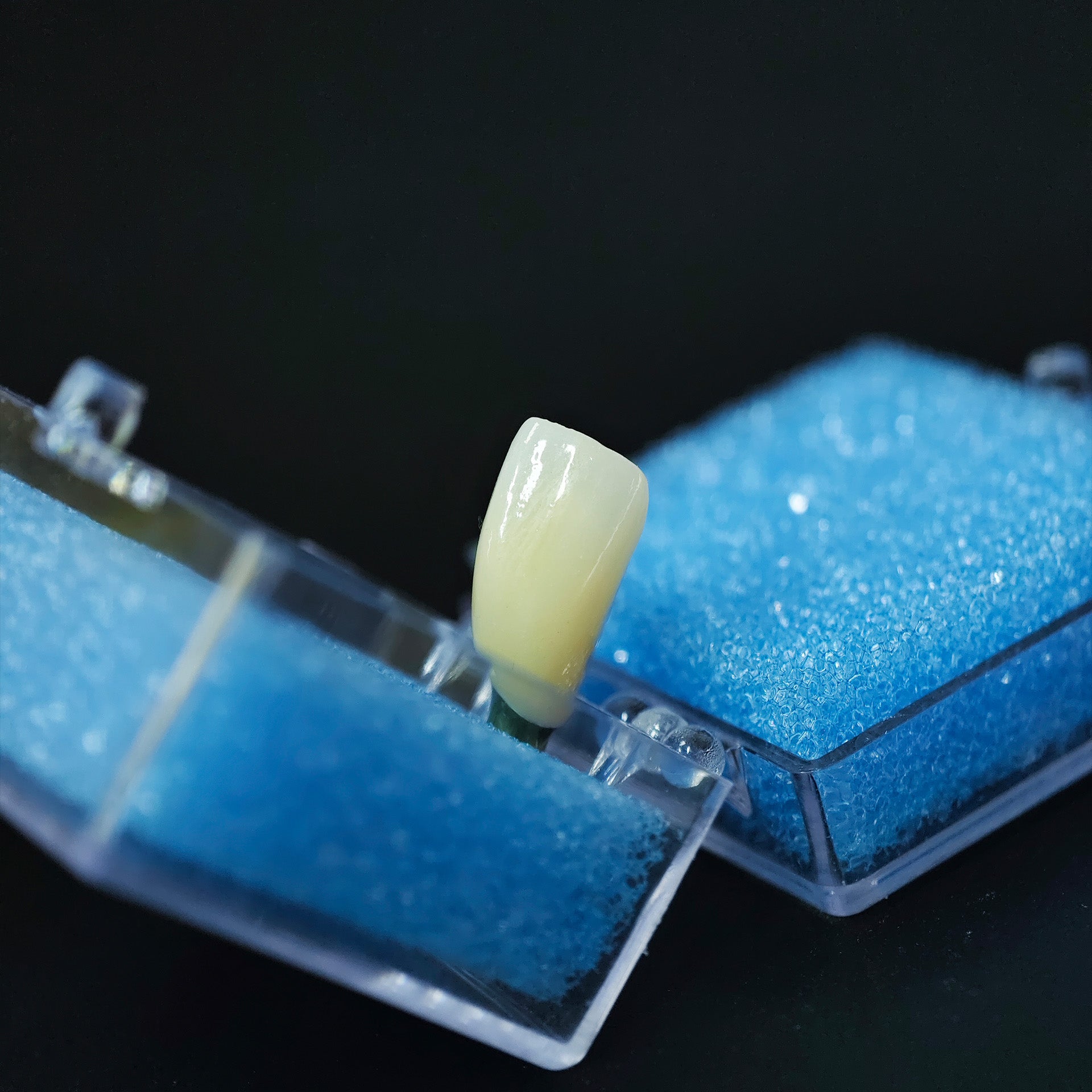 Zirconia Crown With Screw Retained