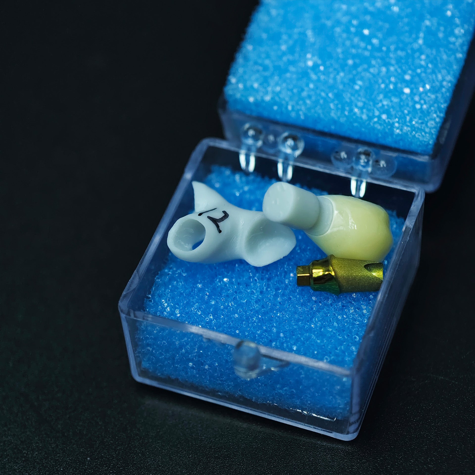 Zirconia Implant Crown Screwmentable Dental Crown