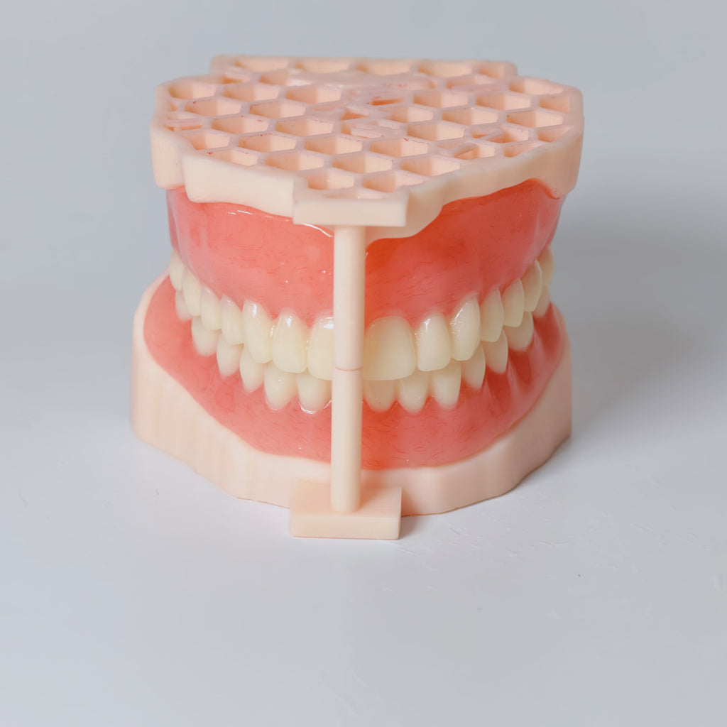 Full-Mouth Acrylic Denture