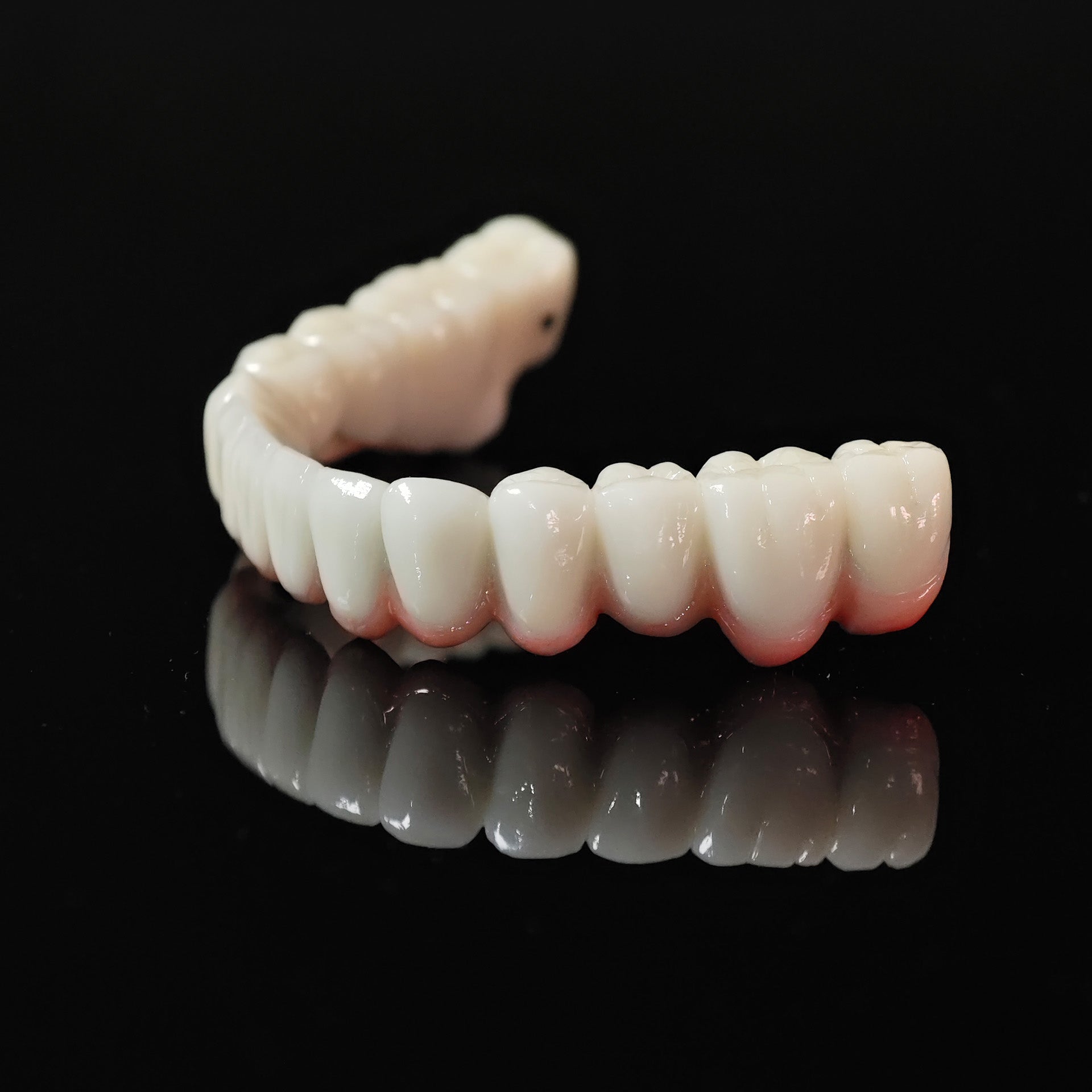 Co - Cr PFM Dental Bridge