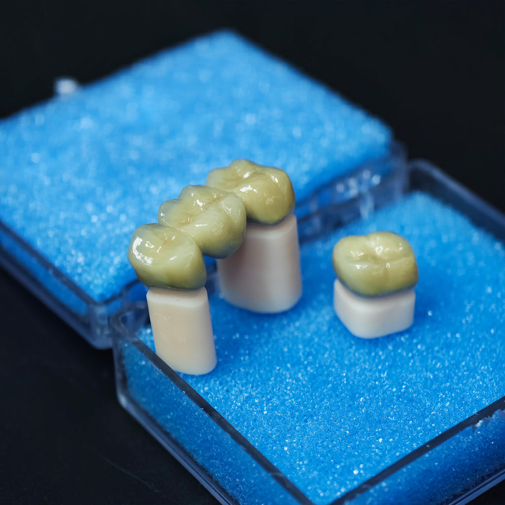 Co - Cr Pfm Dental Crowns And Bridge