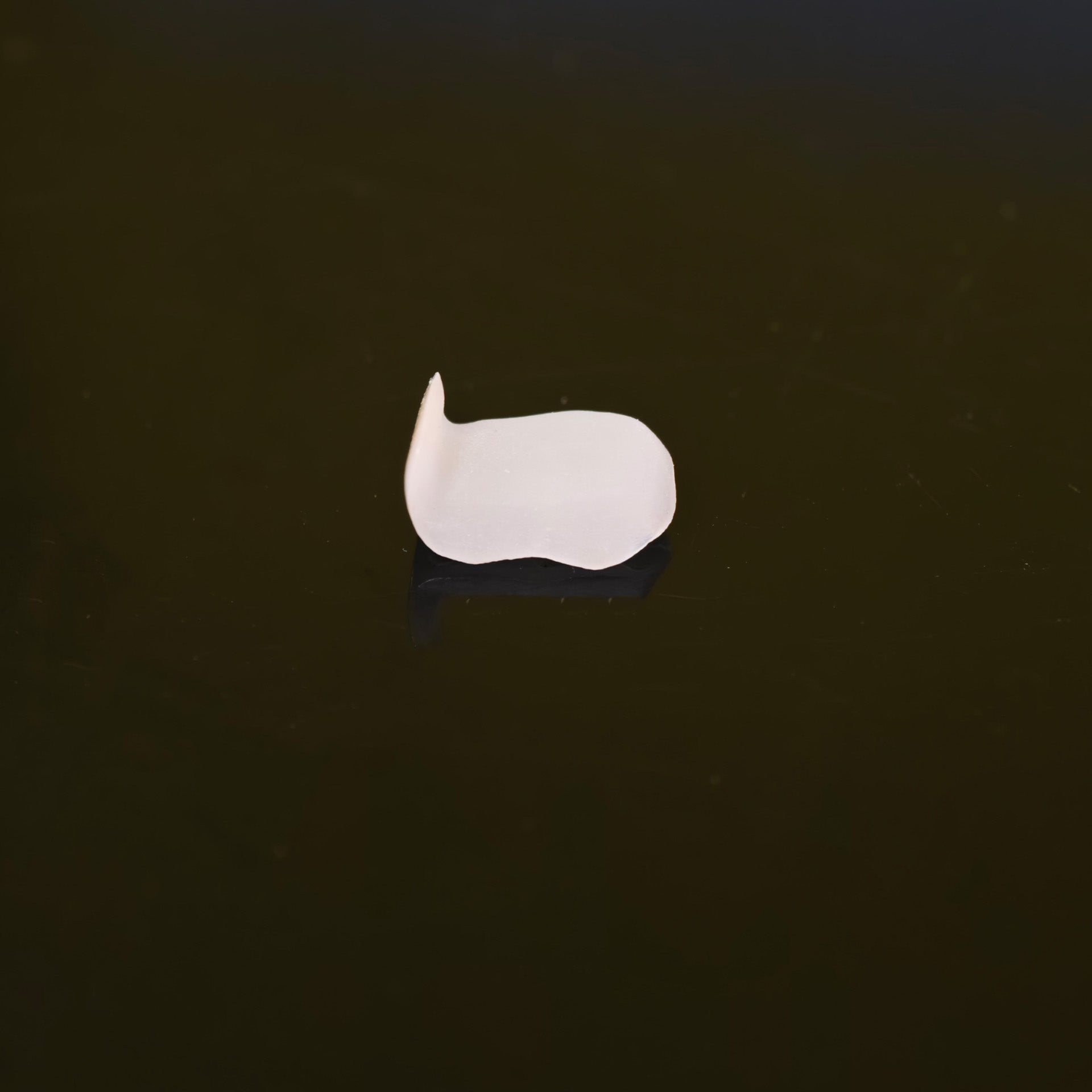 High - Strength Zirconia Inlay And Crown