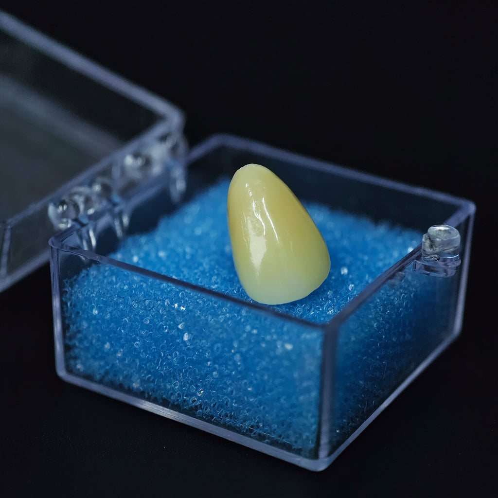 High - Strength Zirconia Crown