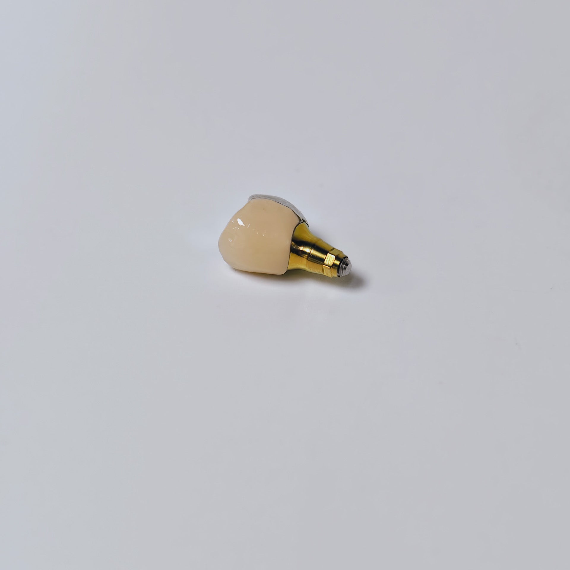 PFM Crown With Screw Retained