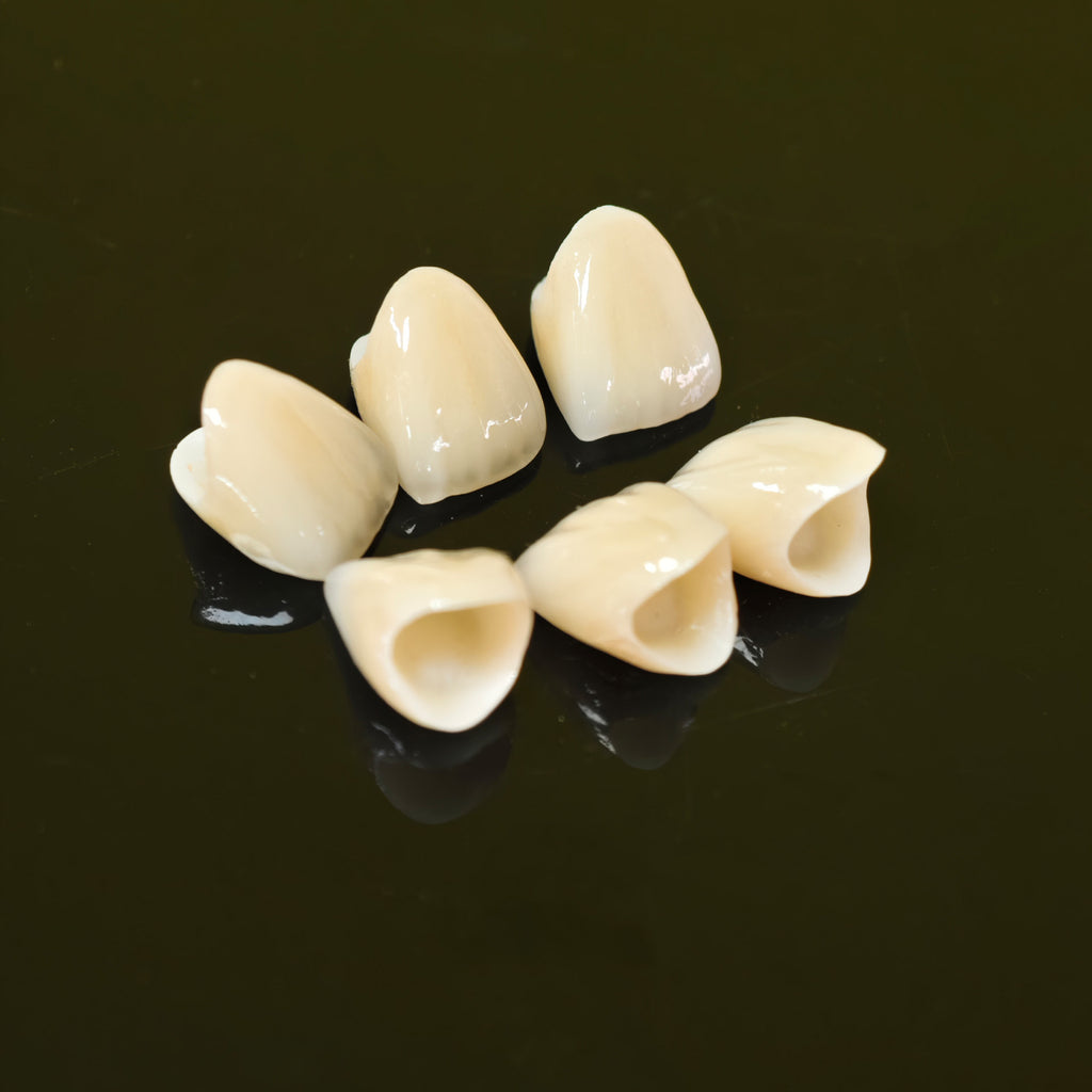 PFZ Crowns Aesthetic Shape Natural Shade Dental Crown