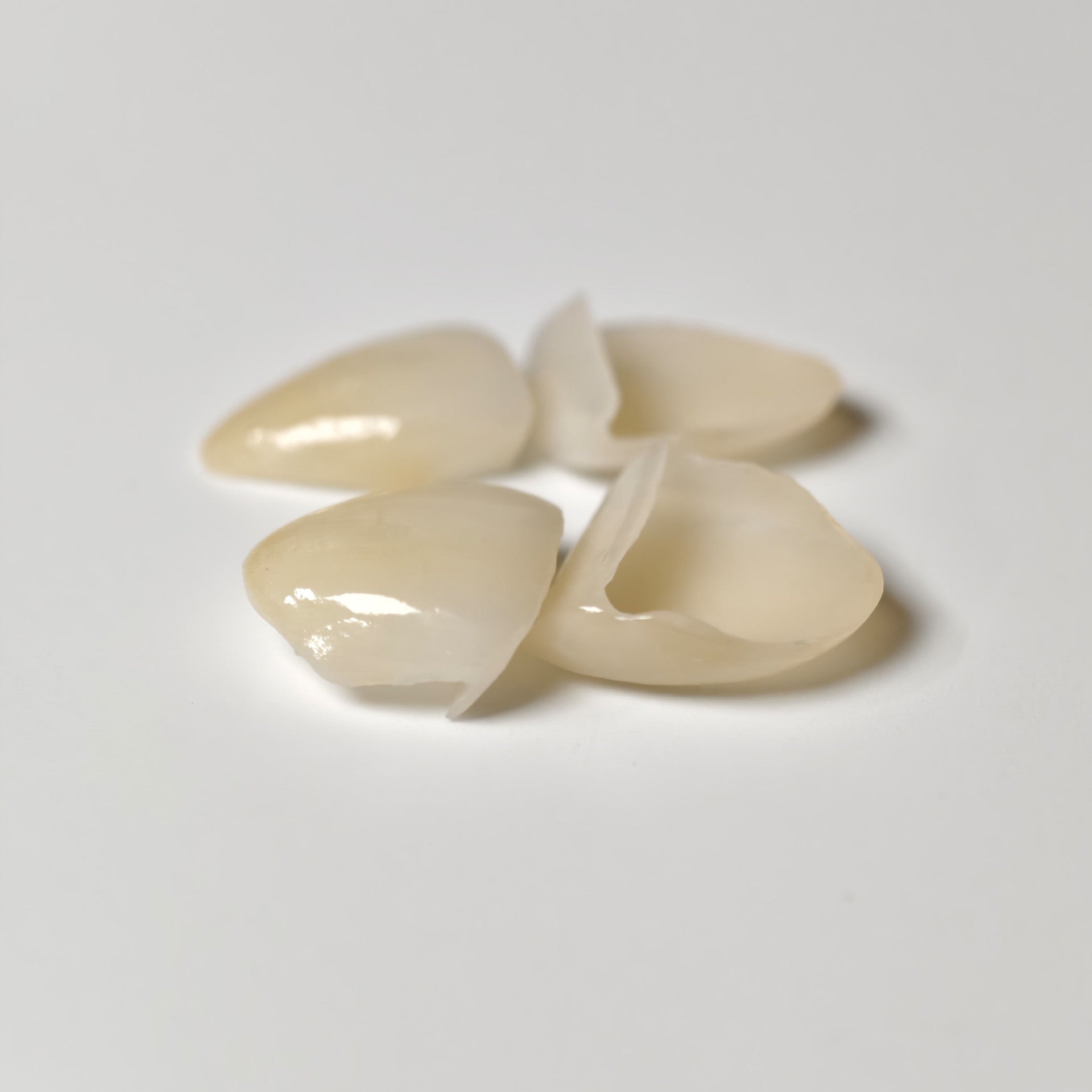 Ultra-Thin Emax Veneer. High Transparency/Translucent, Natural Shade