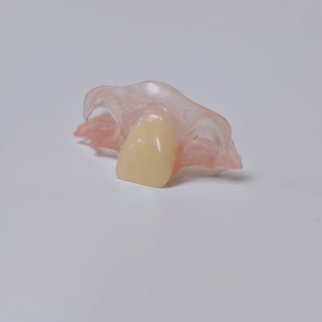 Valplast Denture Beautiful And Elastic Flexible Partial Natural Appearance