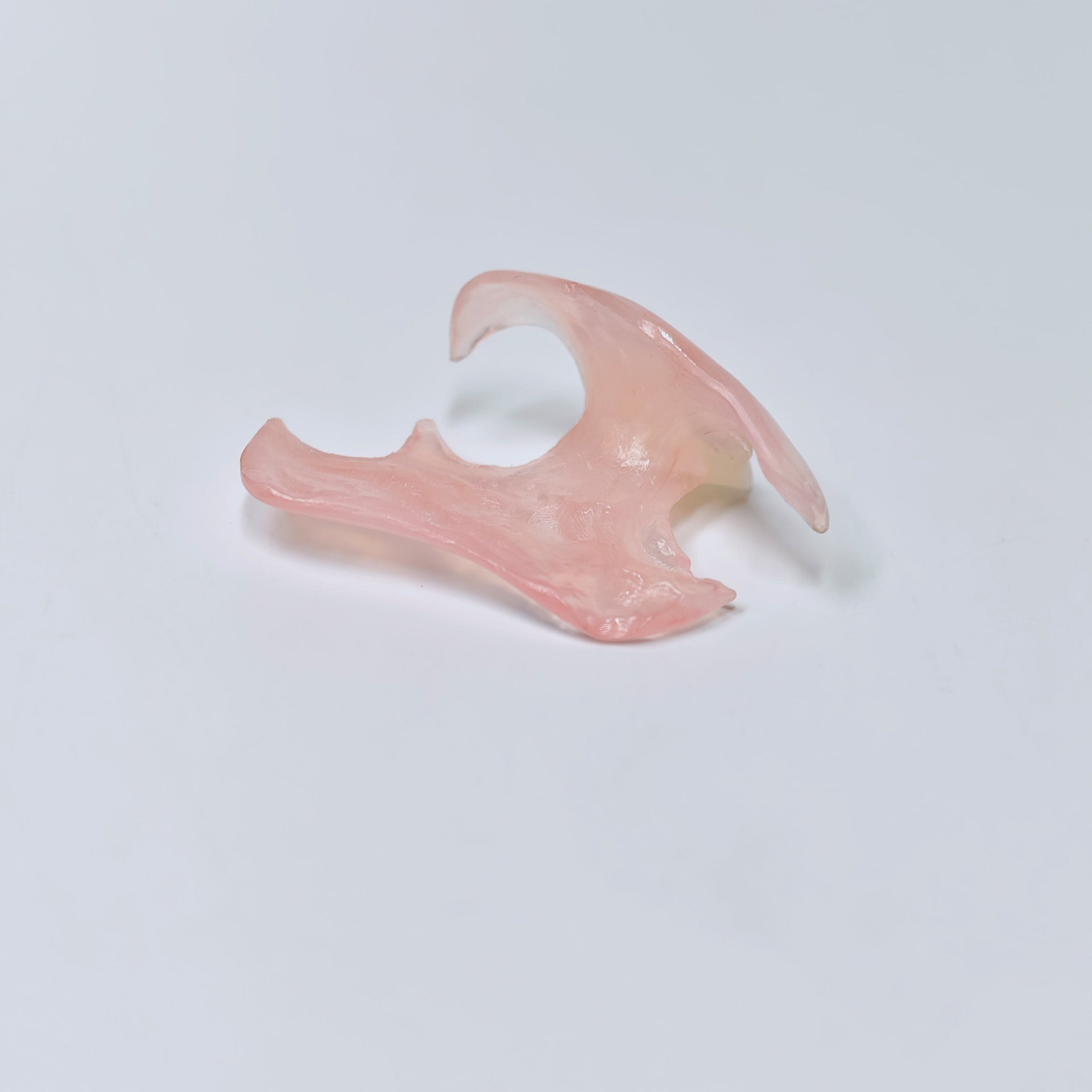 Valplast Denture Beautiful And Elastic Flexible Partial Natural Appearance