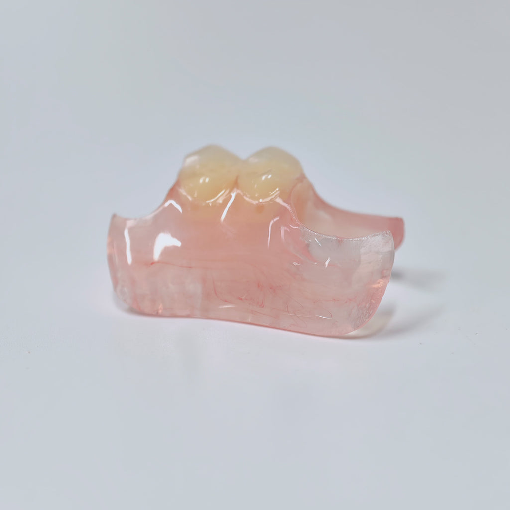 Valplast Denture Beautiful And Elastic Flexible Partial Natural Appearance