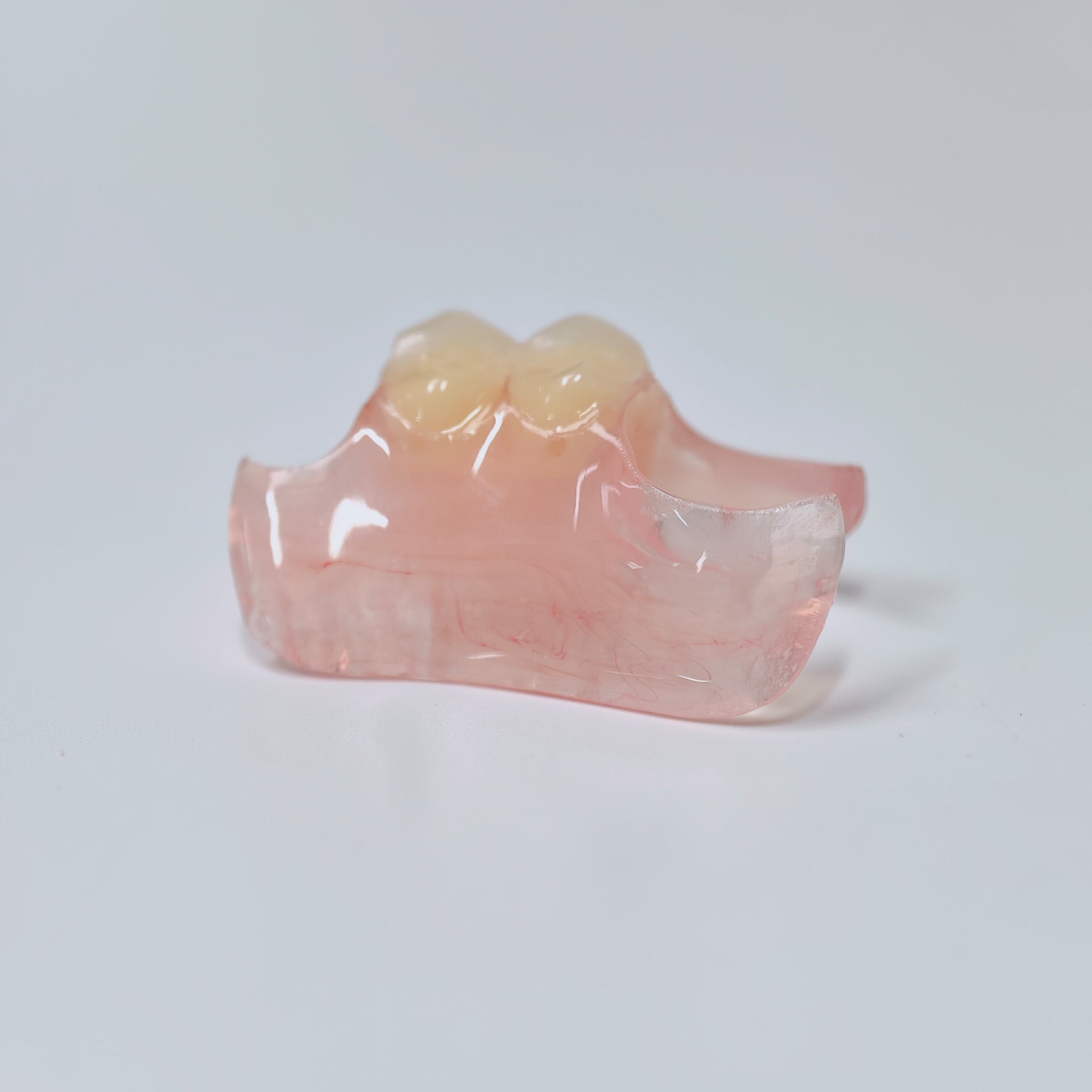 Valplast Denture Beautiful And Elastic Flexible Partial Natural Appearance