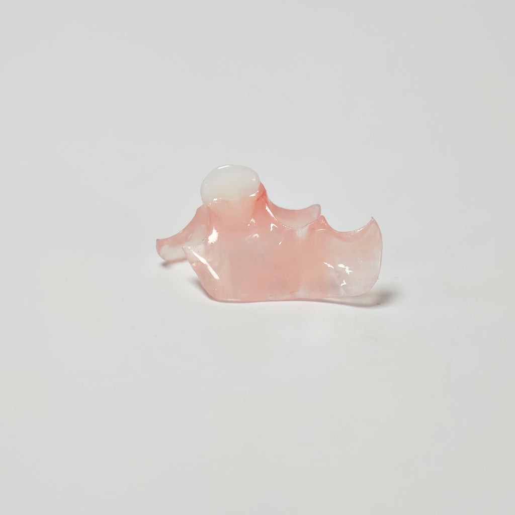 Valplast Denture Beautiful And Elastic Flexible Partial Natural Appearance