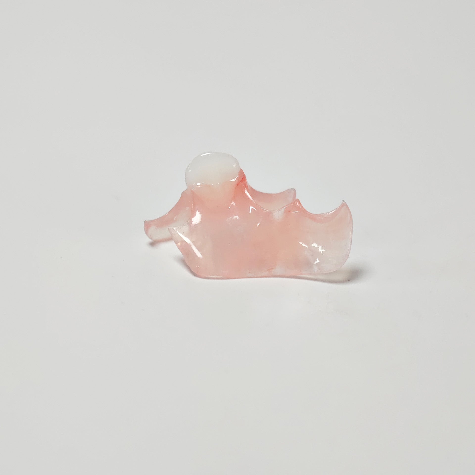 Valplast Denture Beautiful And Elastic Flexible Partial Natural Appearance