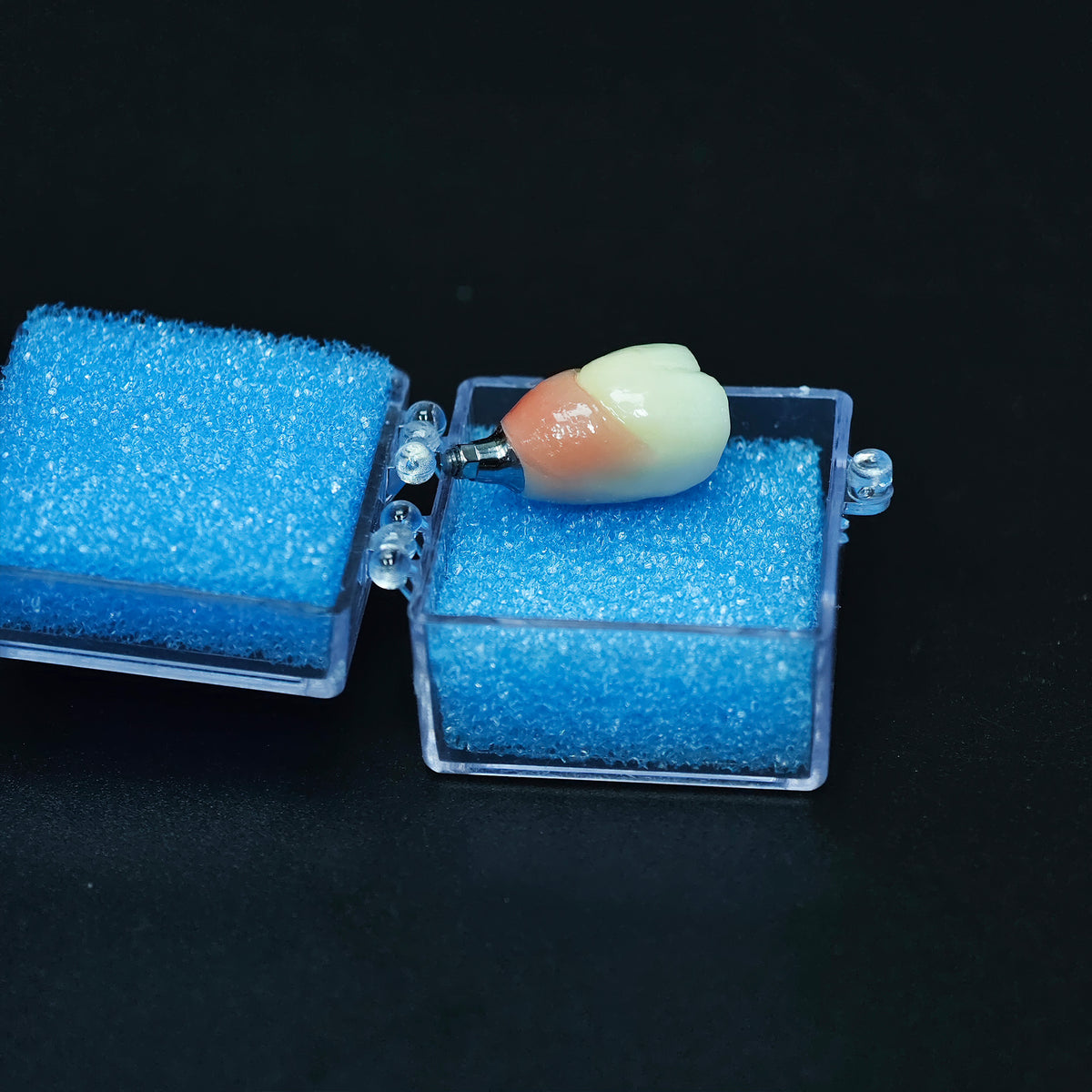 Zirconia Crown With Screw Retained