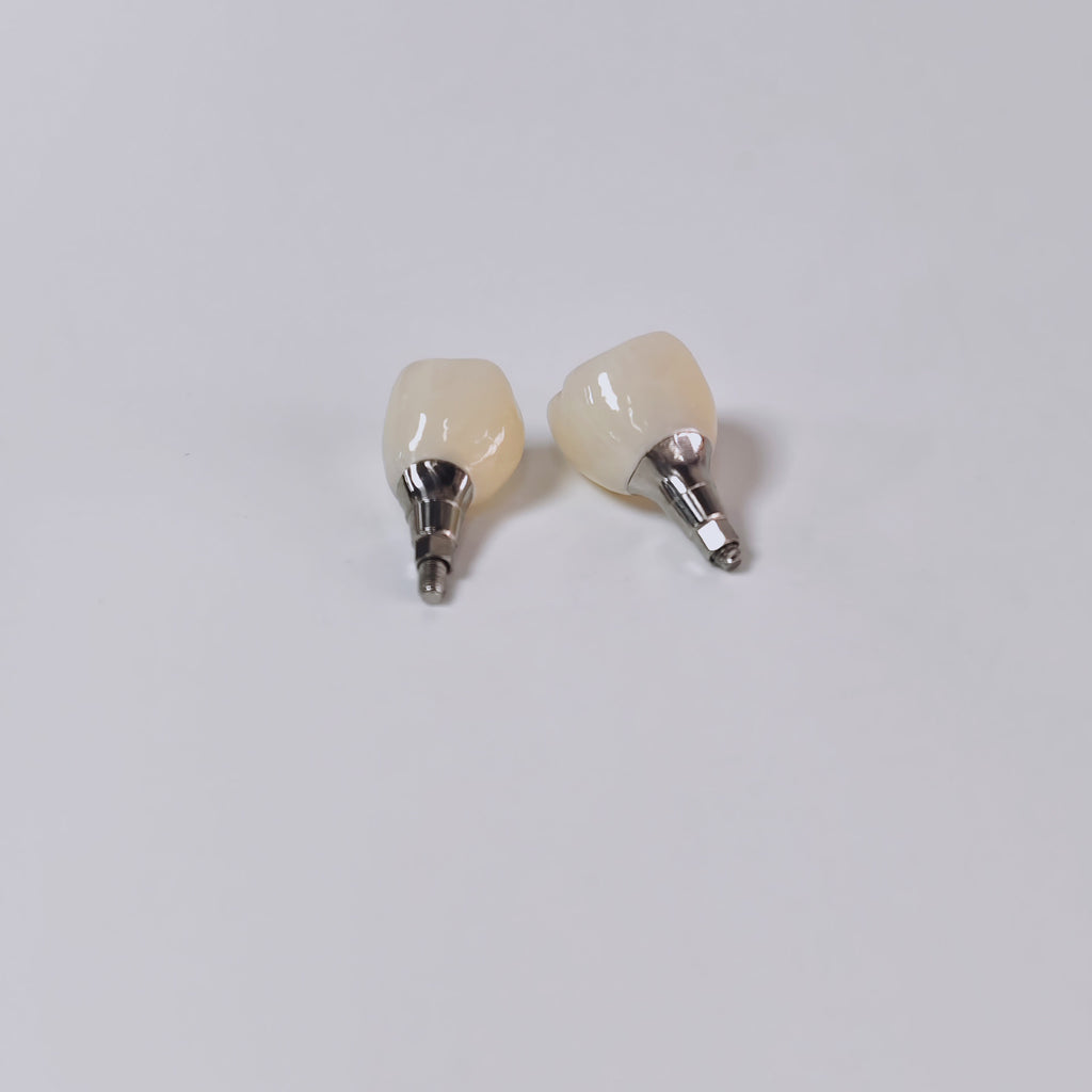 Zirconia Crown With Screw Retained