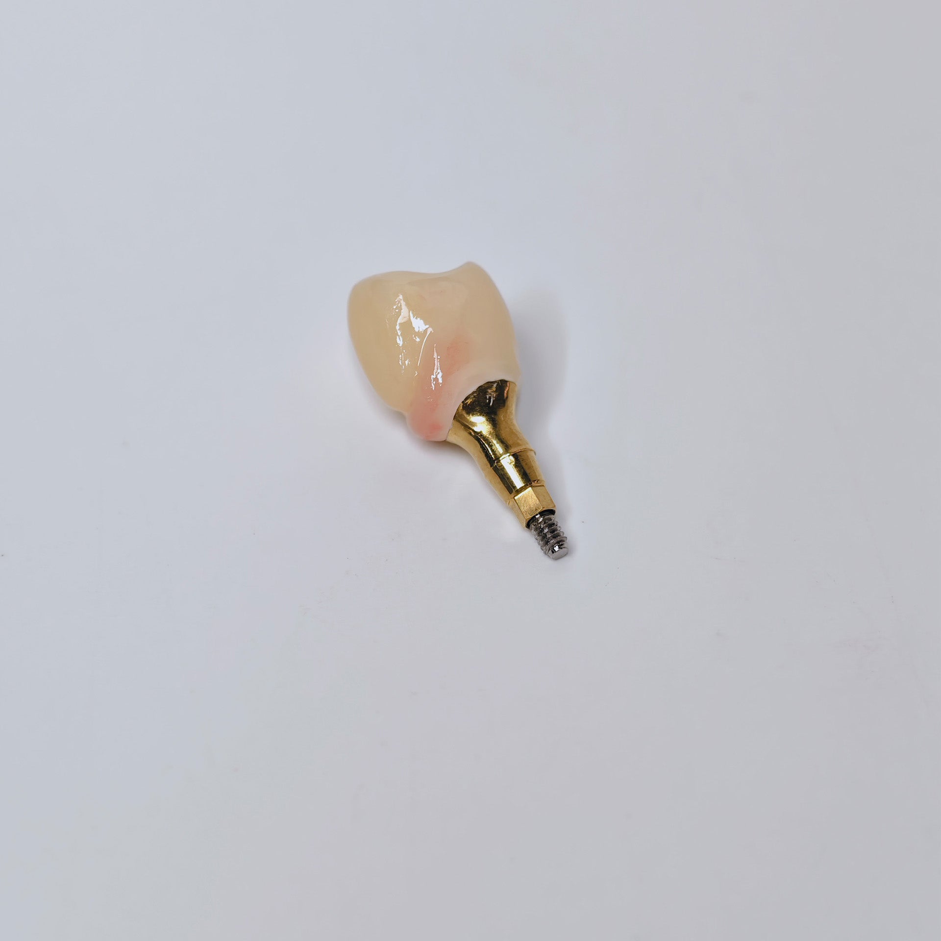 Zirconia Crown With Screw Retained