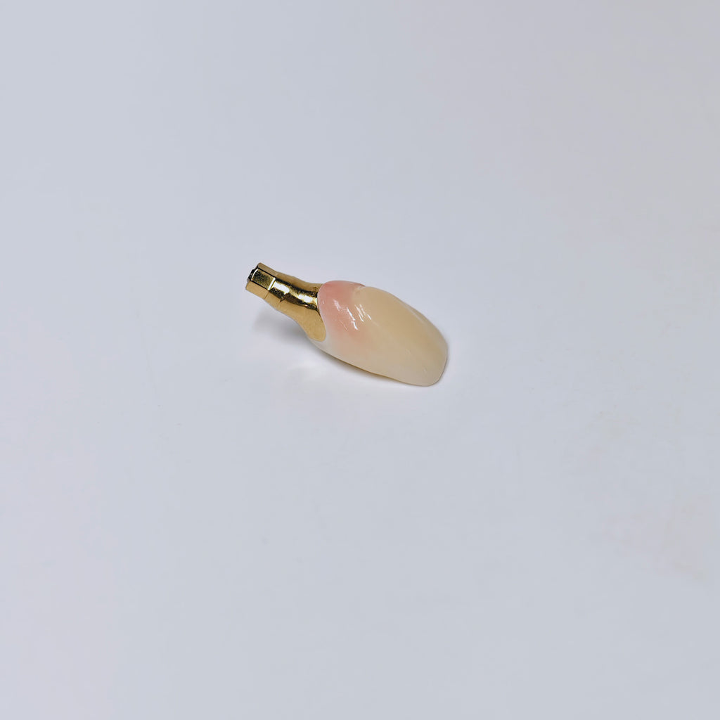 Zirconia Crown With Screw Retained