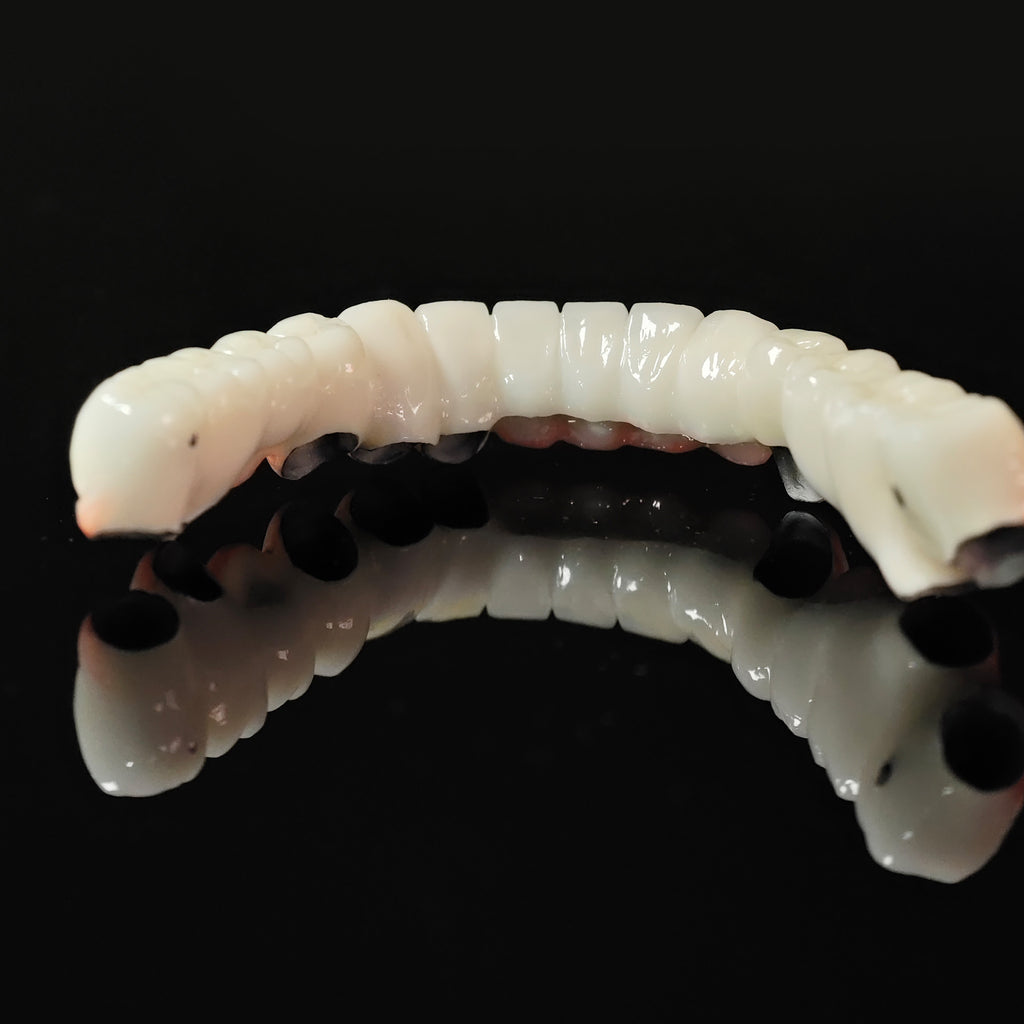 Co - Cr PFM Dental Bridge