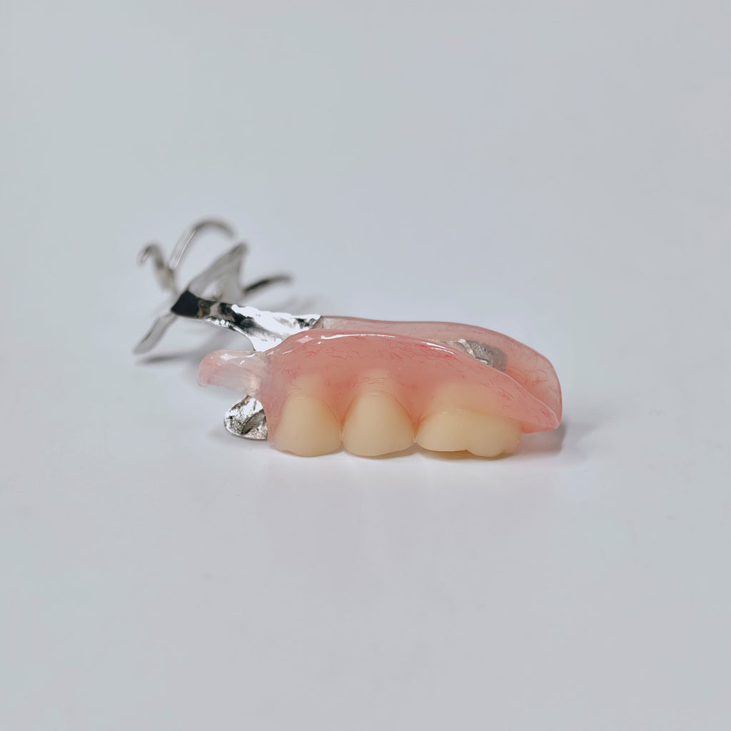 Cobalt Chrome Framework Denture Metal Framework With Acrylic Denture