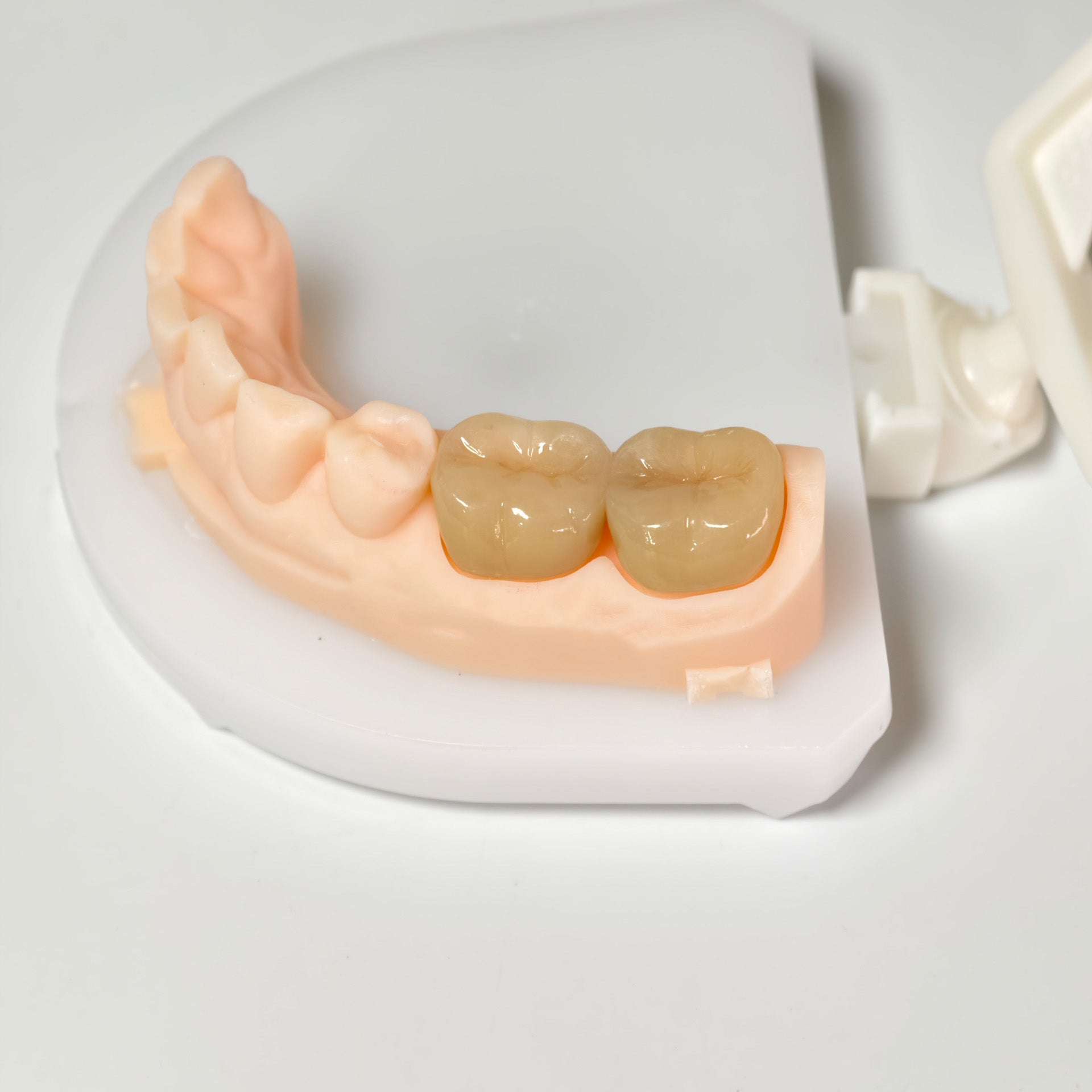 High - Strength Zirconia Crowns