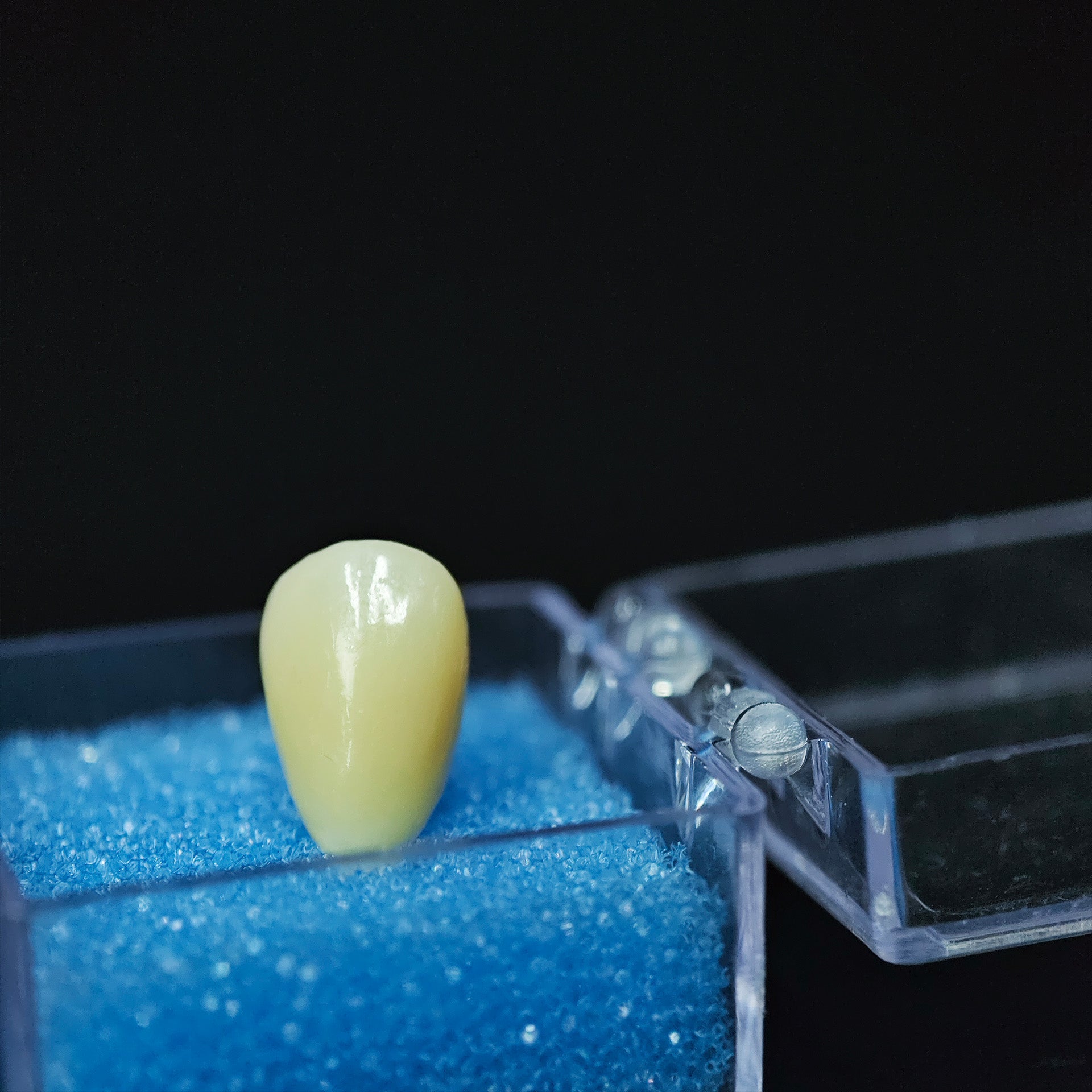 High - Strength Zirconia Crown