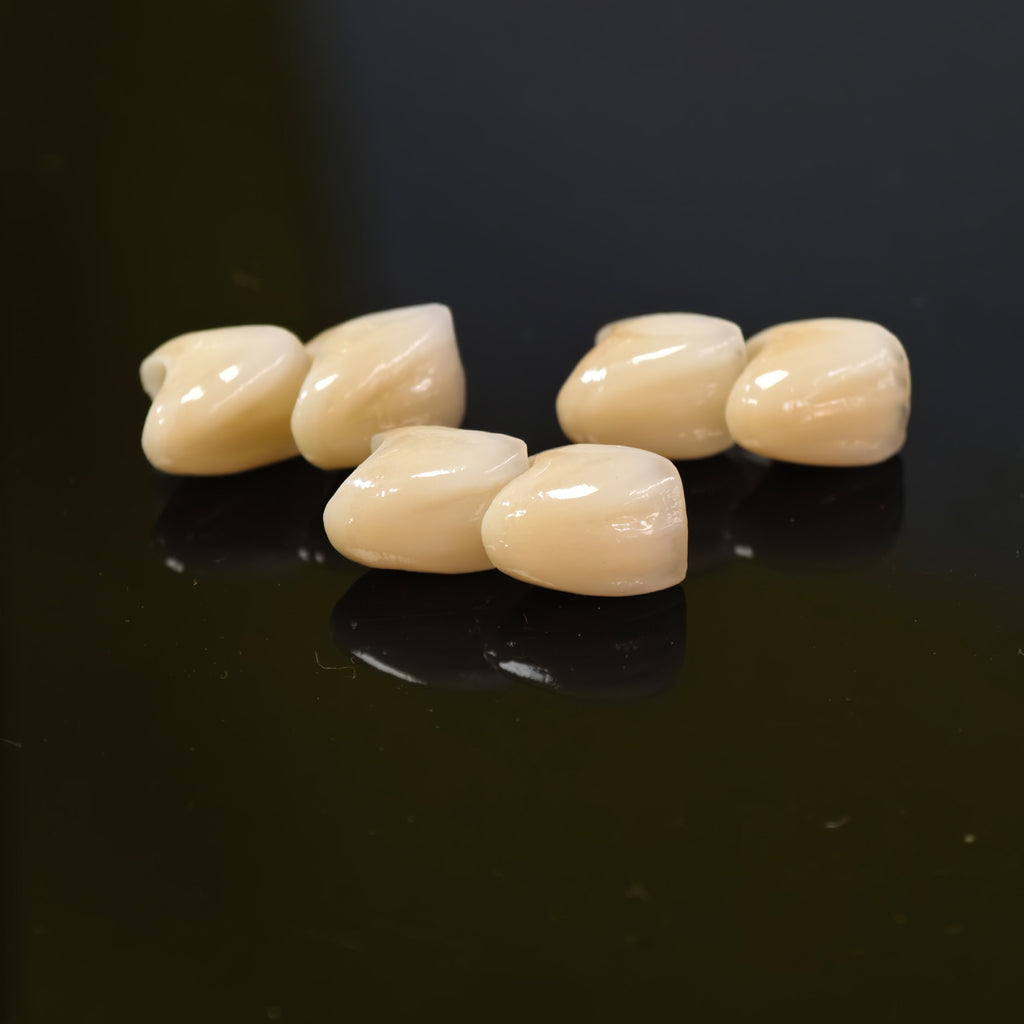 PFZ Crowns Aesthetic Shape Natural Shade Dental Crown
