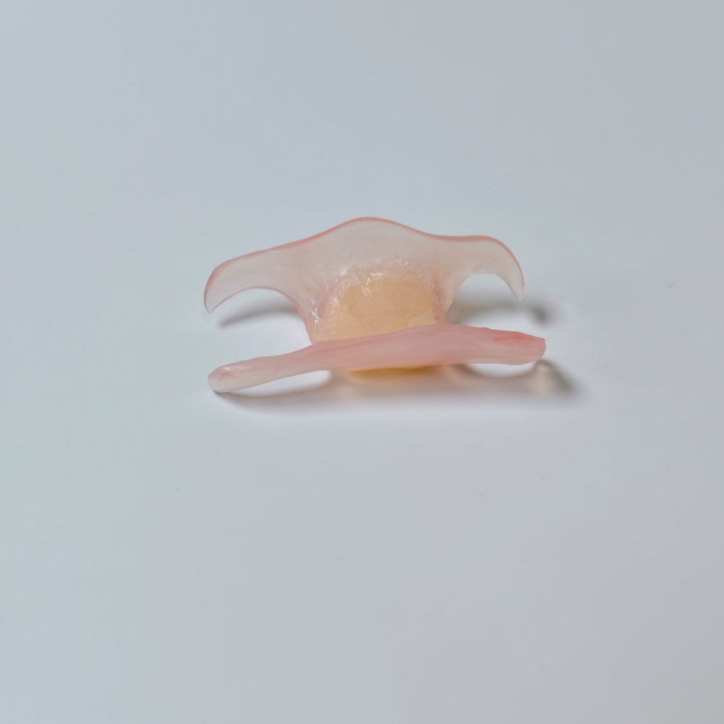 Valplast Denture Beautiful And Elastic Flexible Partial Natural Appearance