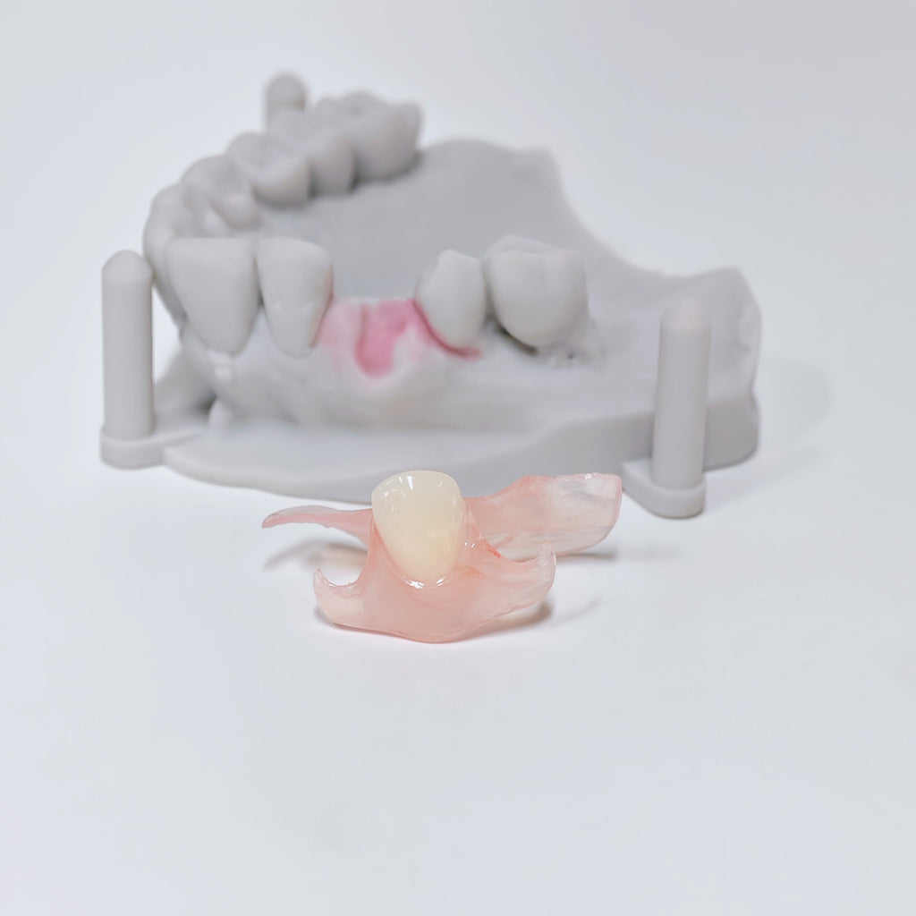Valplast Denture Beautiful And Elastic Flexible Partial Natural Appearance