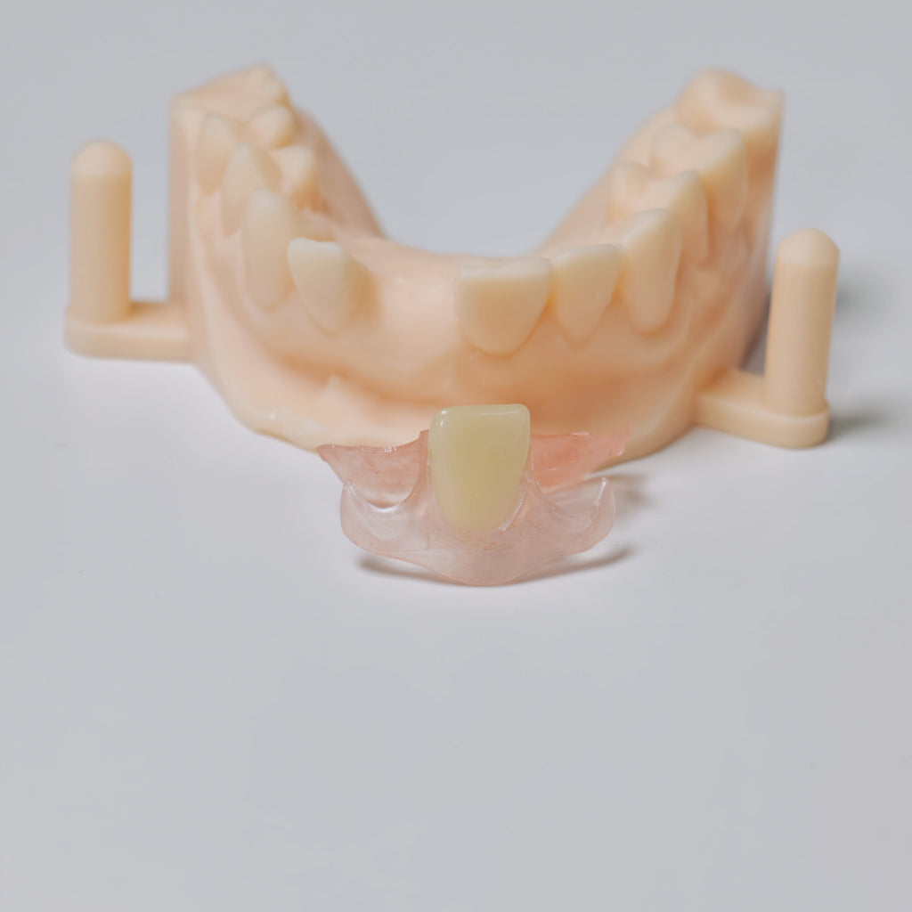 Valplast Denture Beautiful And Elastic Flexible Partial Natural Appearance