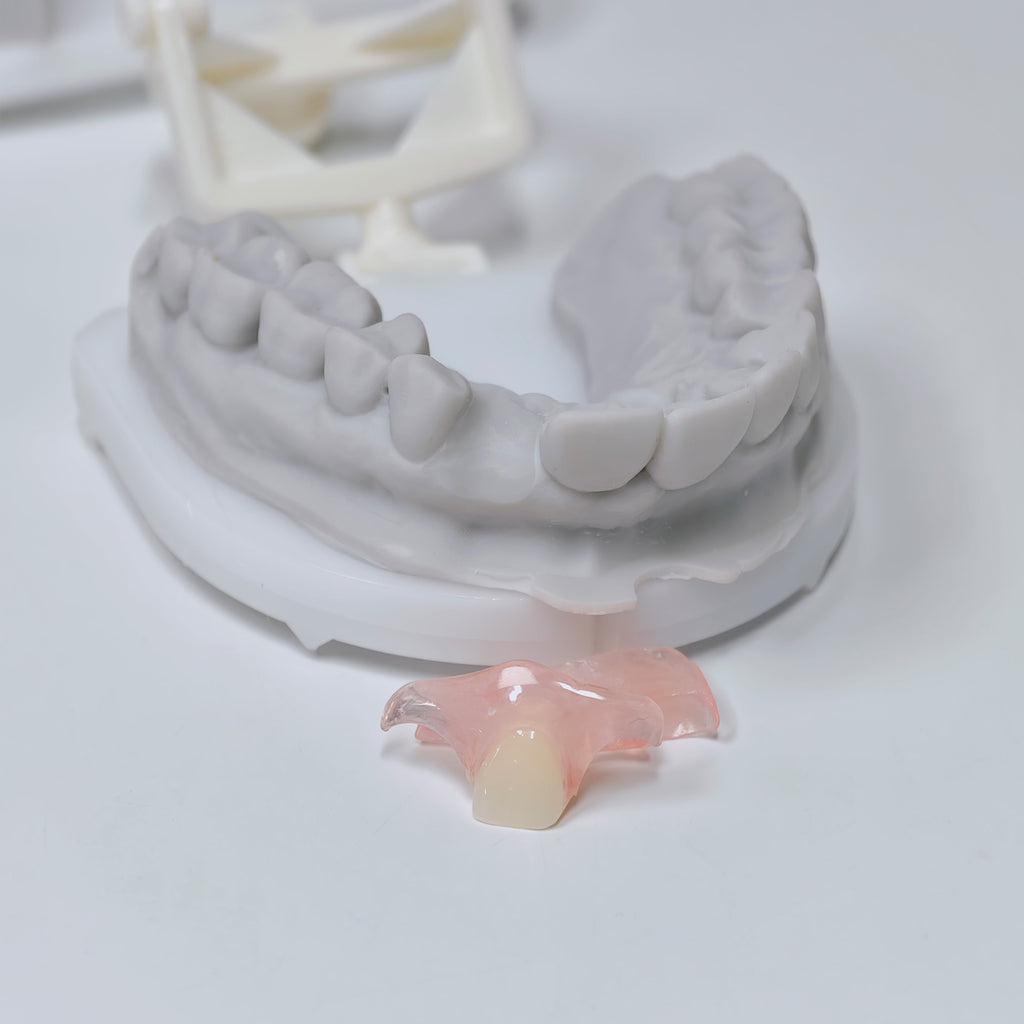 Valplast Denture Beautiful And Elastic Flexible Partial Natural Appearance