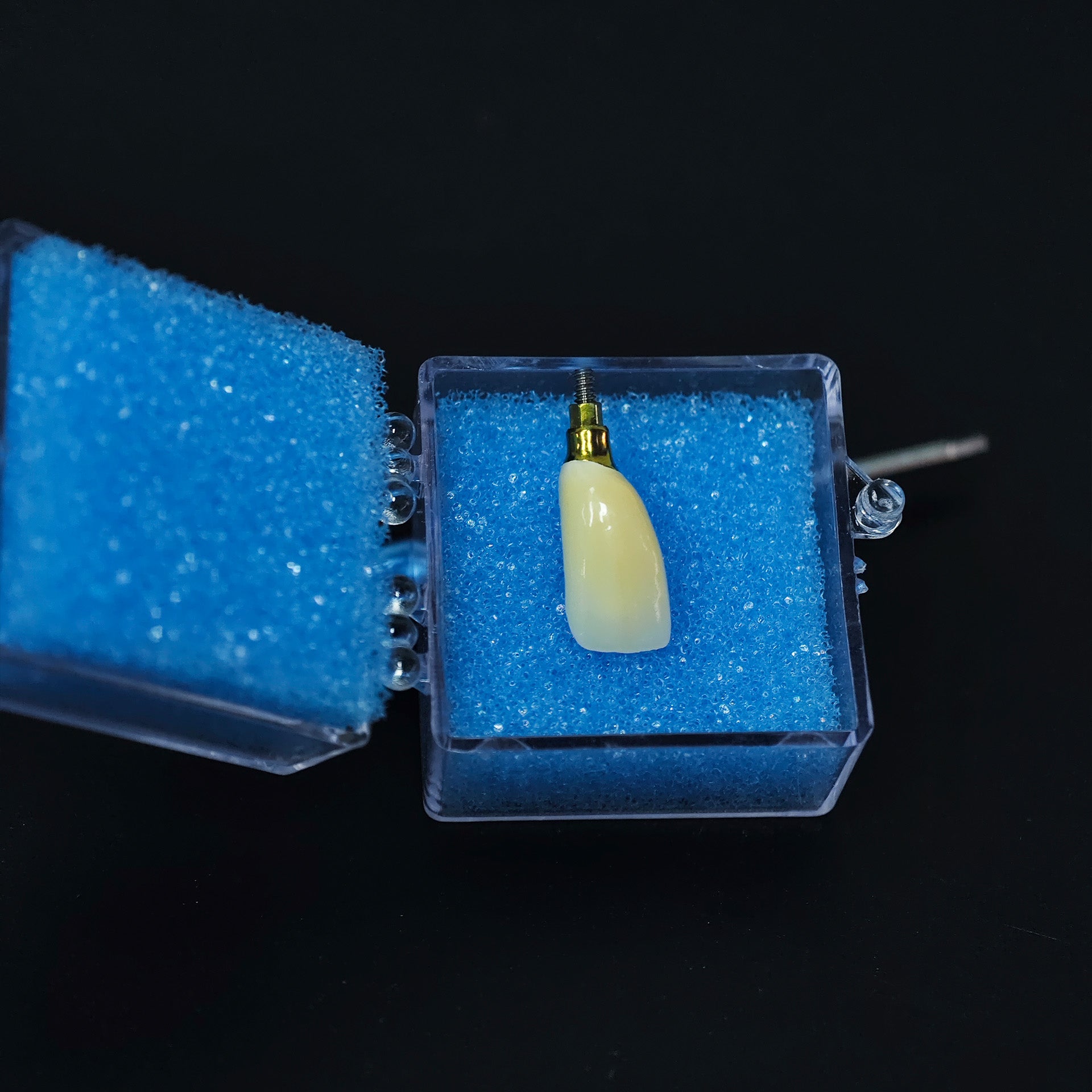 Zirconia Crown With Screw Retained