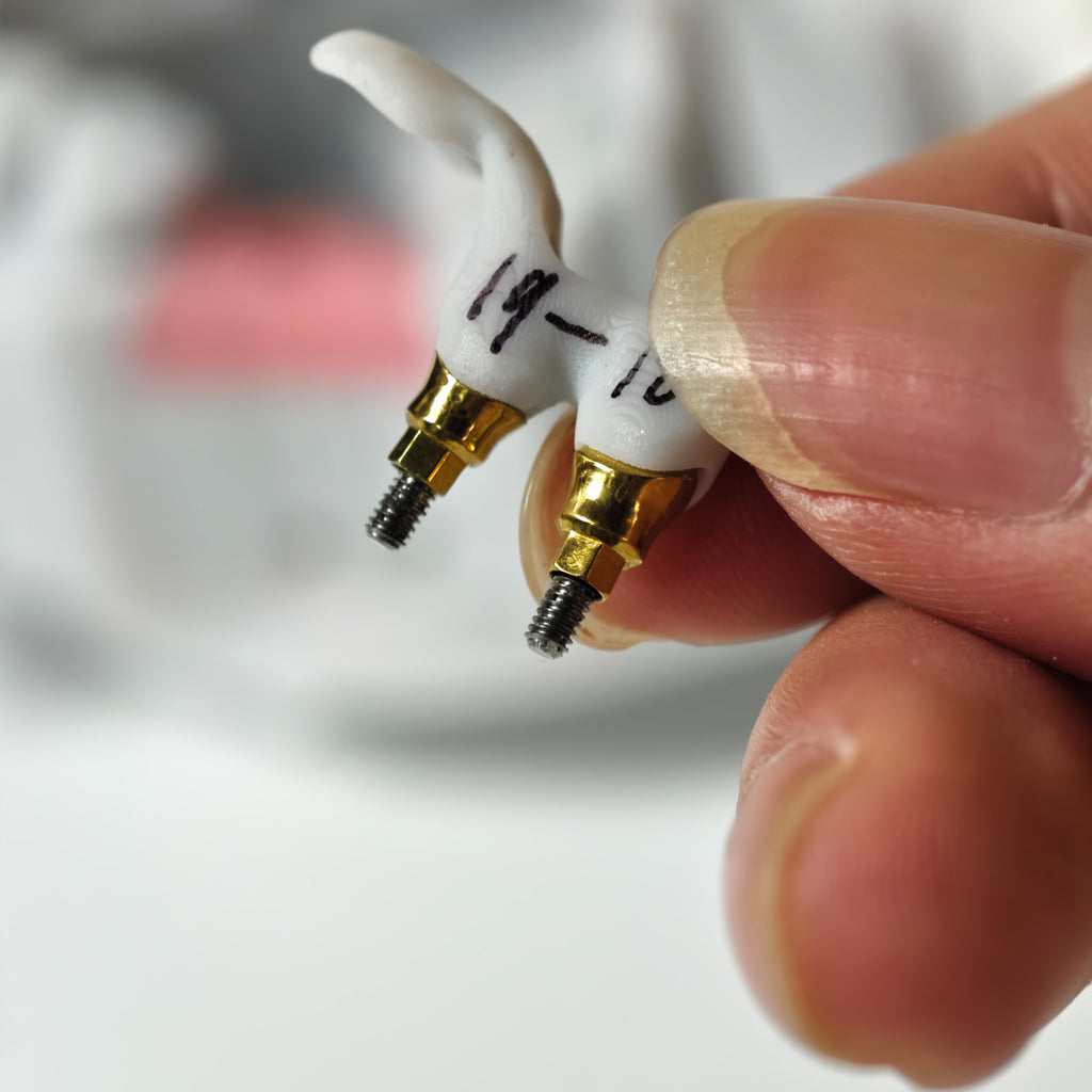 Zirconia Implant Bridge Screwmentable Dental Crown
