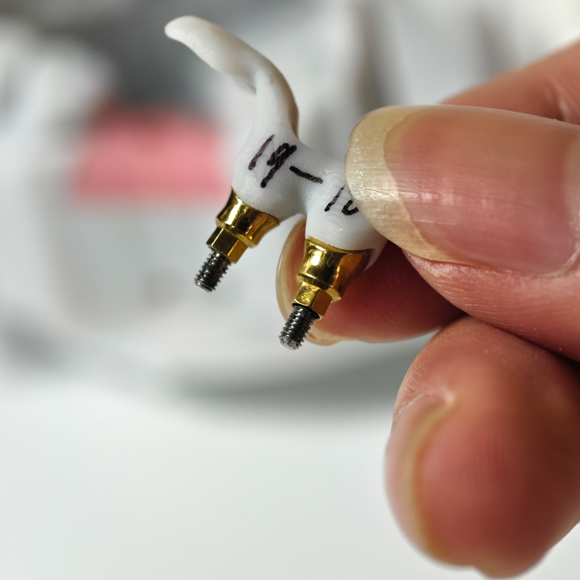 Zirconia Implant Bridge Screwmentable Dental Crown