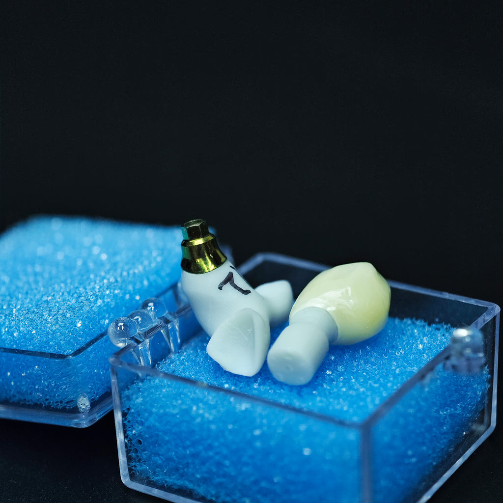 Zirconia Implant Crown Screwmentable Dental Crown