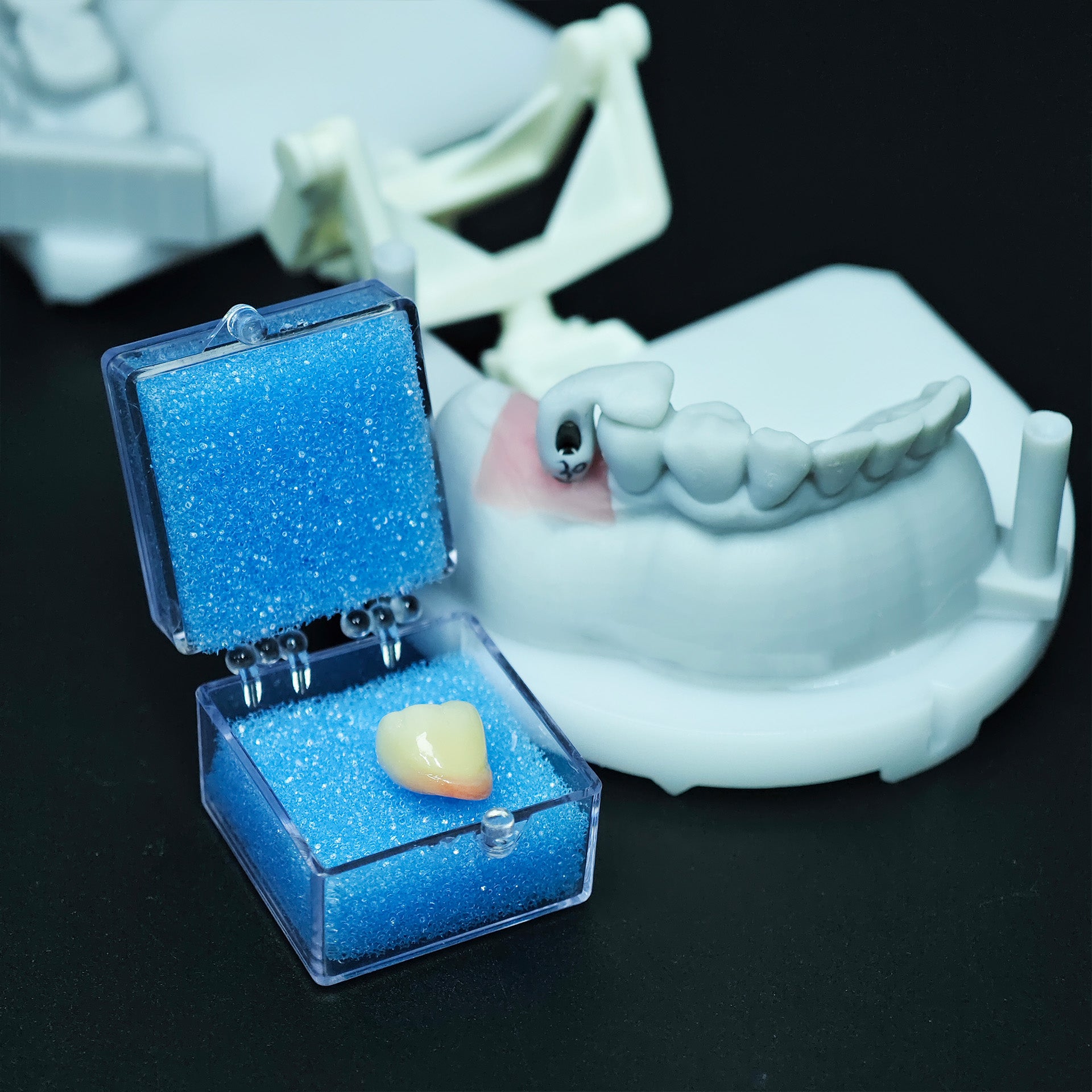 Zirconia Implant Crown Screwmentable Dental Crown