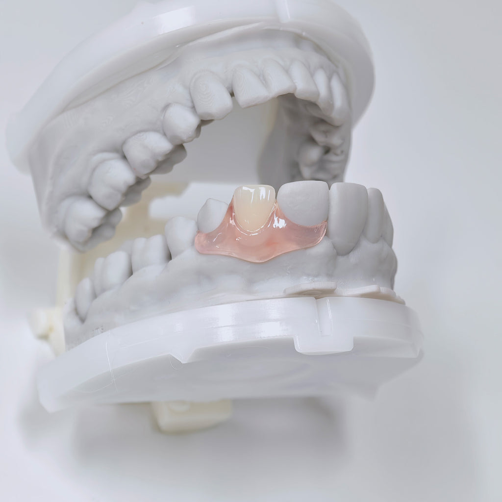 Valplast Denture Beautiful And Elastic Flexible Partial Natural Appearance
