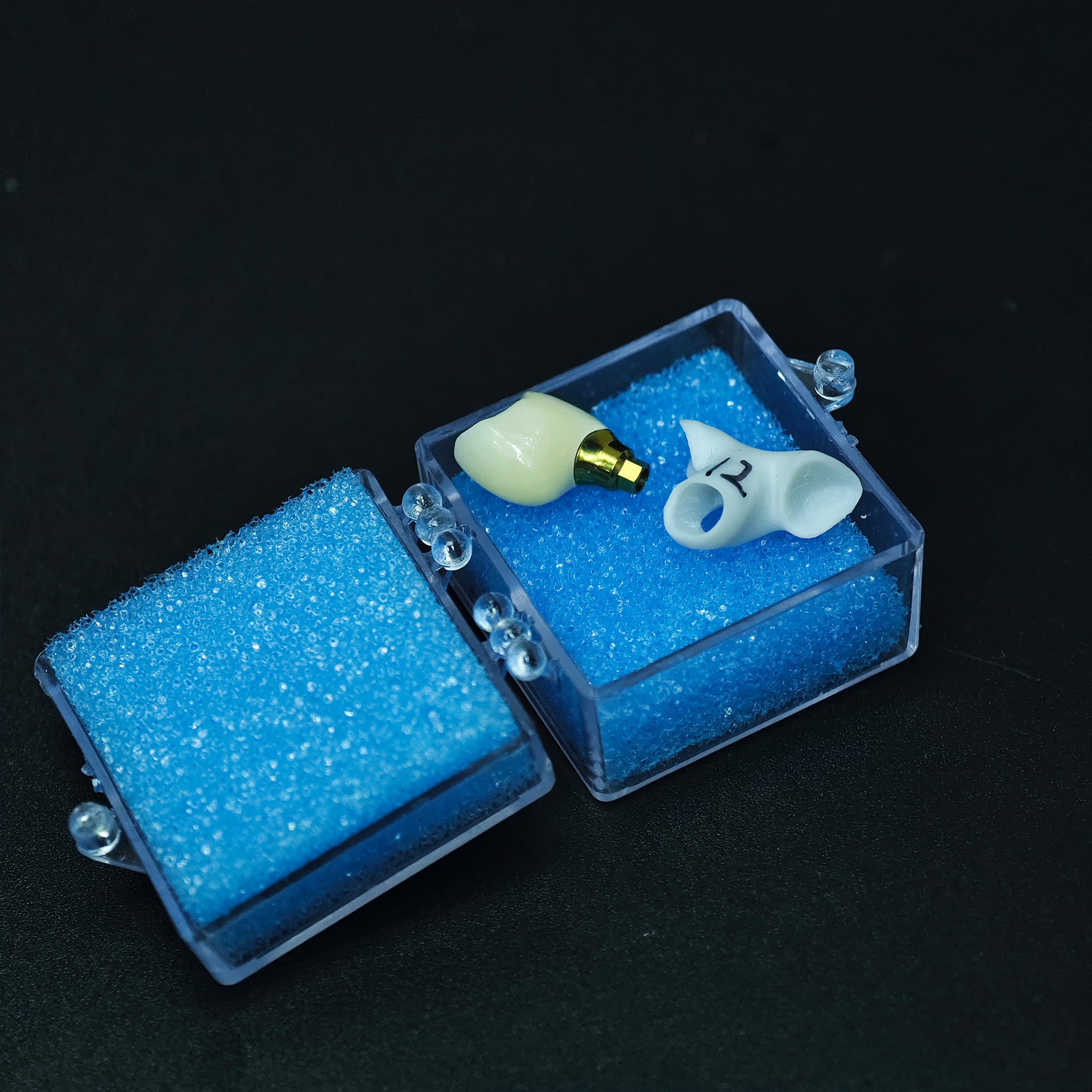 Zirconia Implant Crown Screwmentable Dental Crown